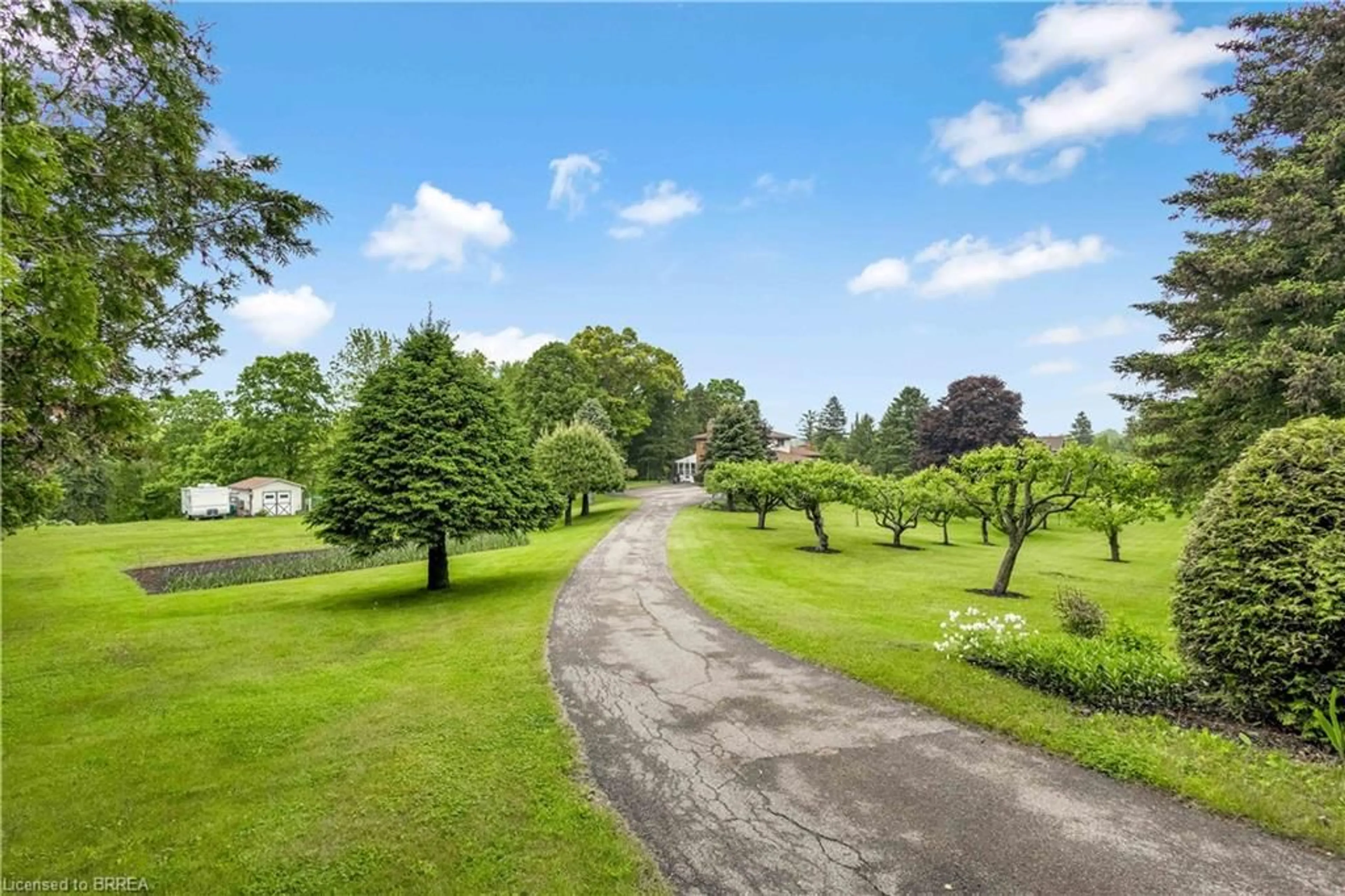A pic from outside/outdoor area/front of a property/back of a property/a pic from drone, forest/trees view for 167 Governors Rd, Paris Ontario N3L 3E1