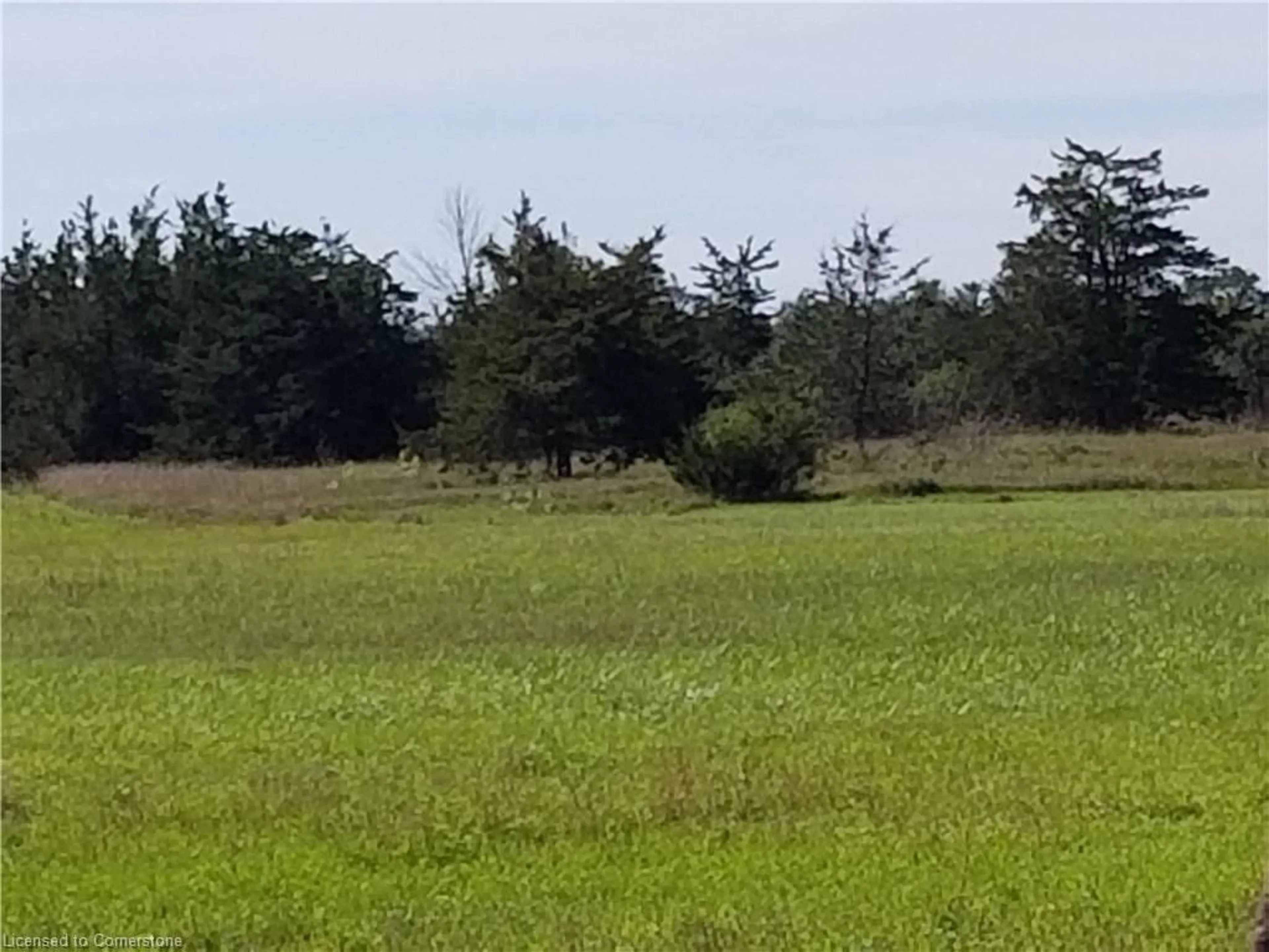 A pic from outside/outdoor area/front of a property/back of a property/a pic from drone, forest/trees view for 120 Drive In Rd, Napanee Ontario K0K 2Z0