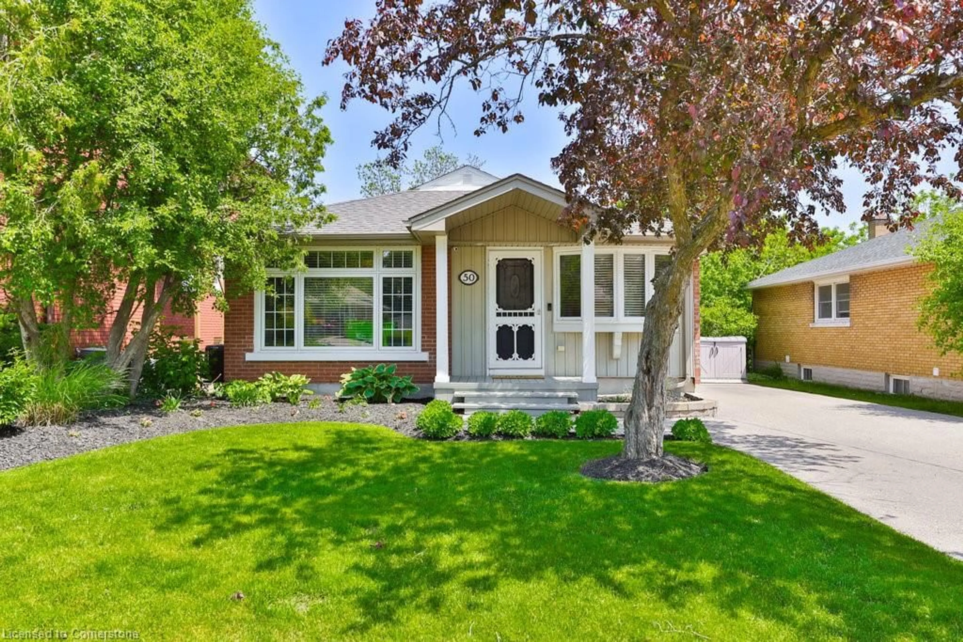 Home with vinyl exterior material, street for 50 Cornell Ave, Kitchener Ontario N2G 3E4