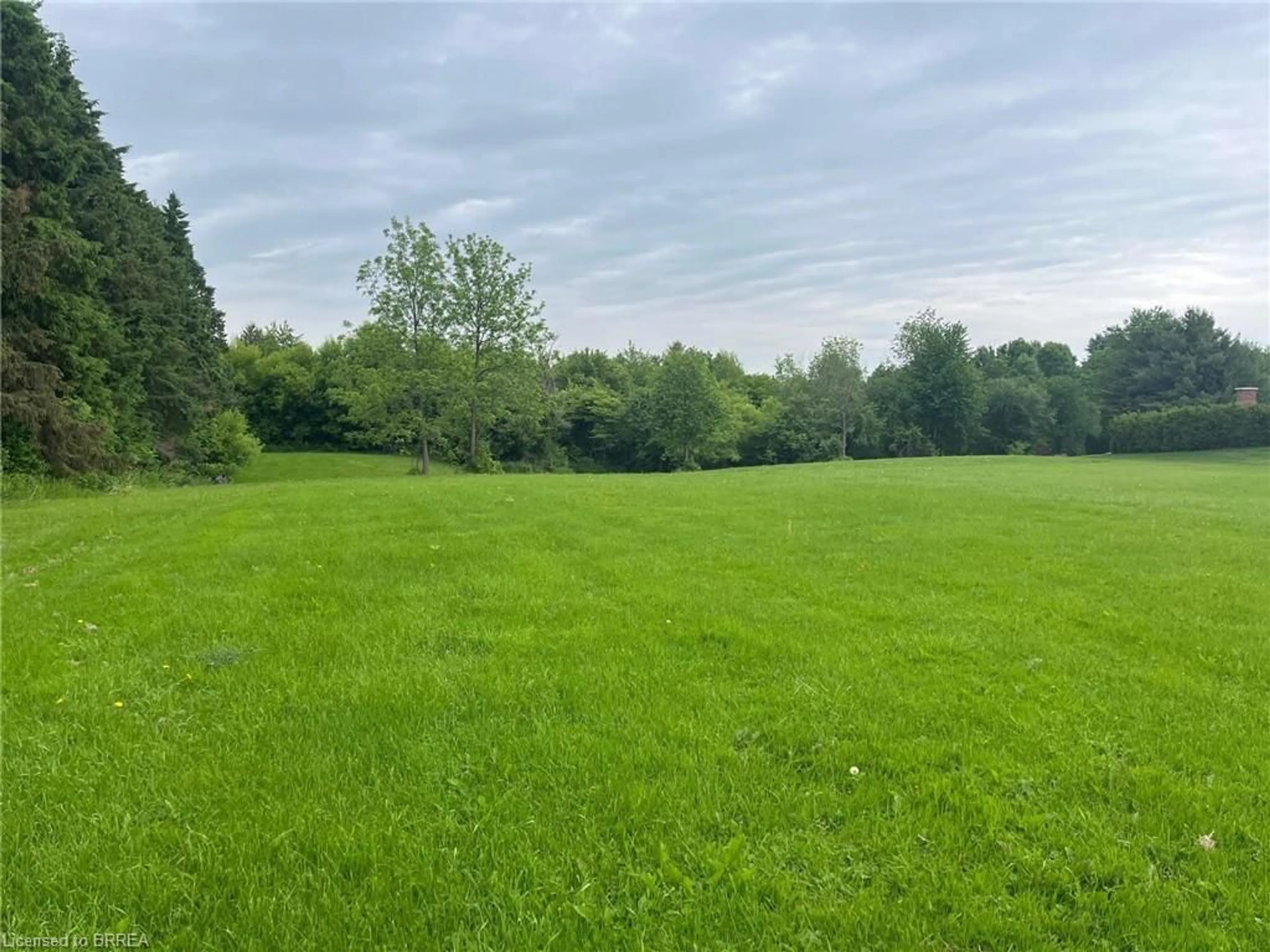 A pic from outside/outdoor area/front of a property/back of a property/a pic from drone, forest/trees view for 28 River Rd, Brantford Ontario N3R 0C1