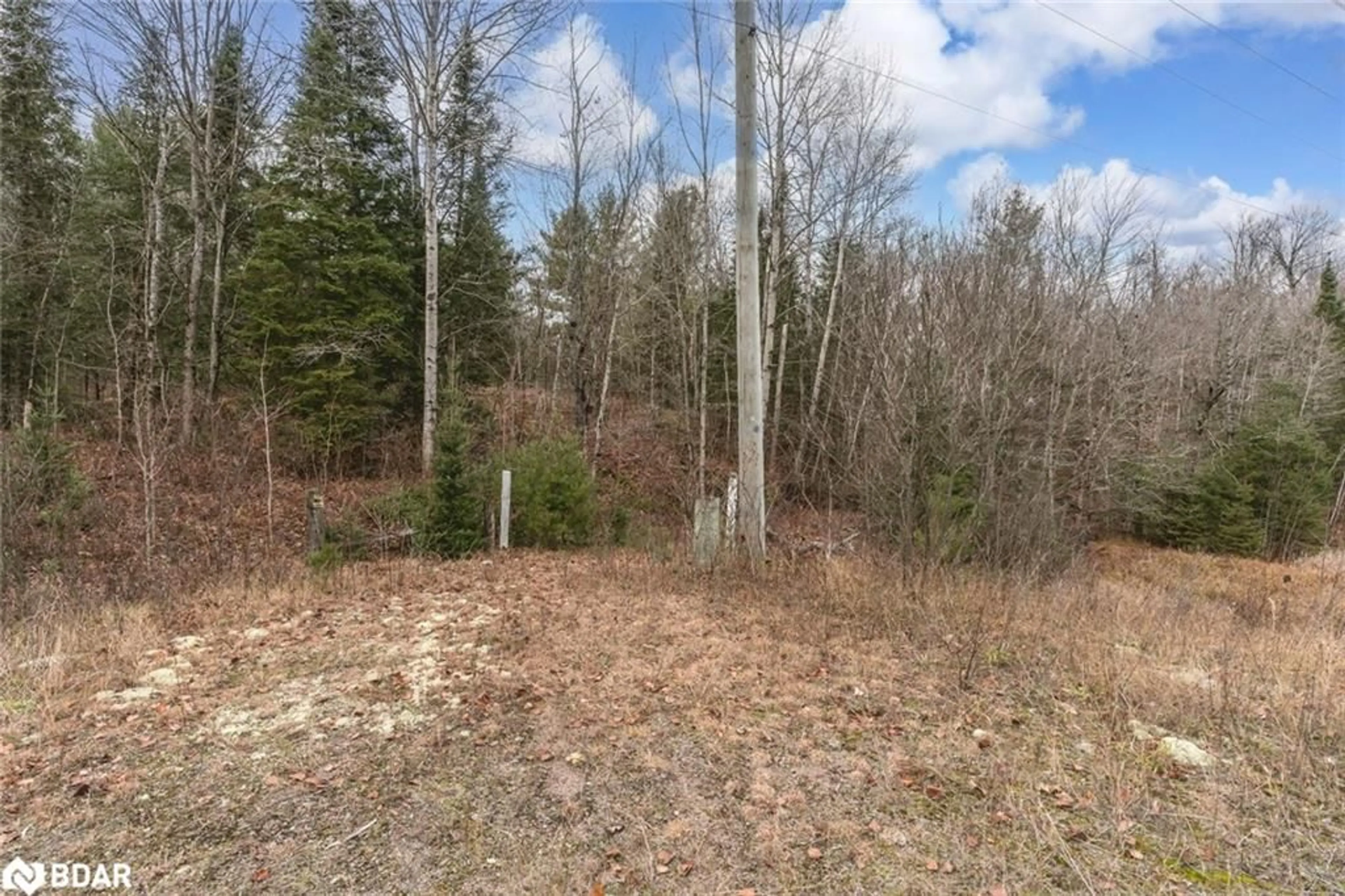 A pic from outside/outdoor area/front of a property/back of a property/a pic from drone, forest/trees view for 0 County Road 121, Minden Ontario K0M 2A1