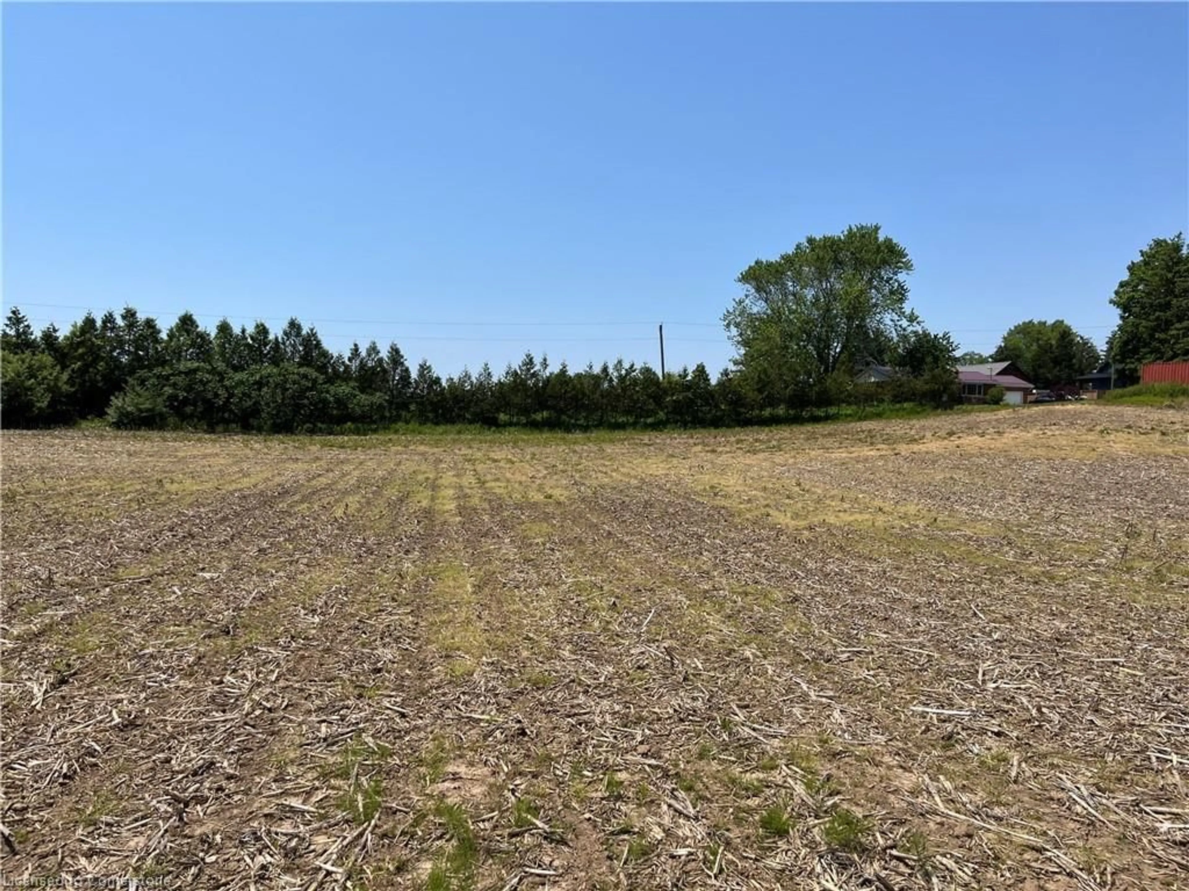 A pic from outside/outdoor area/front of a property/back of a property/a pic from drone, forest/trees view for 282 WEST QUARTE N/A Rd, Port Rowan Ontario N0E 1M0