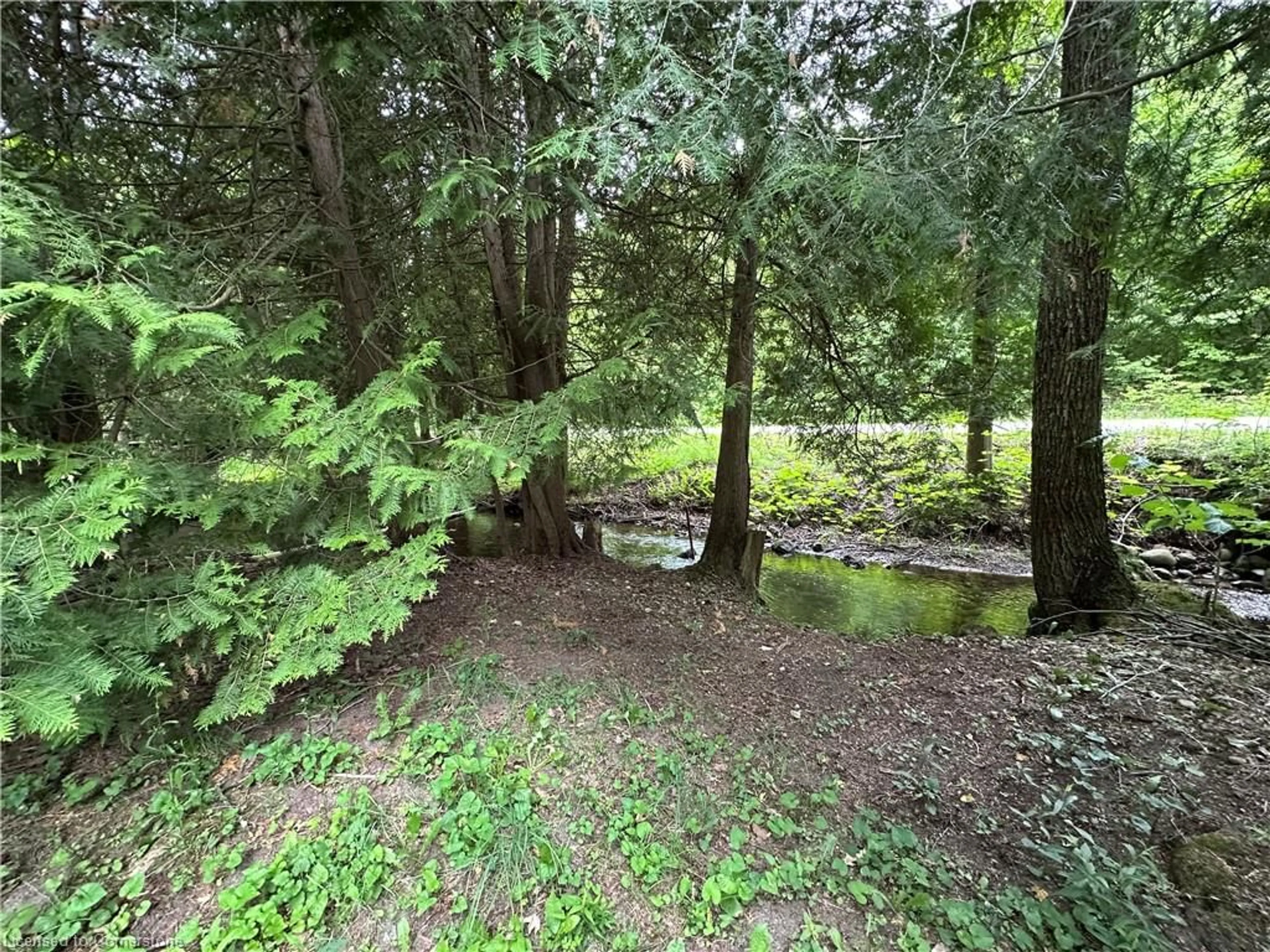 A pic from outside/outdoor area/front of a property/back of a property/a pic from drone, forest/trees view for 263076 Wilder Lake Rd, Southgate Ontario N0G 1R0