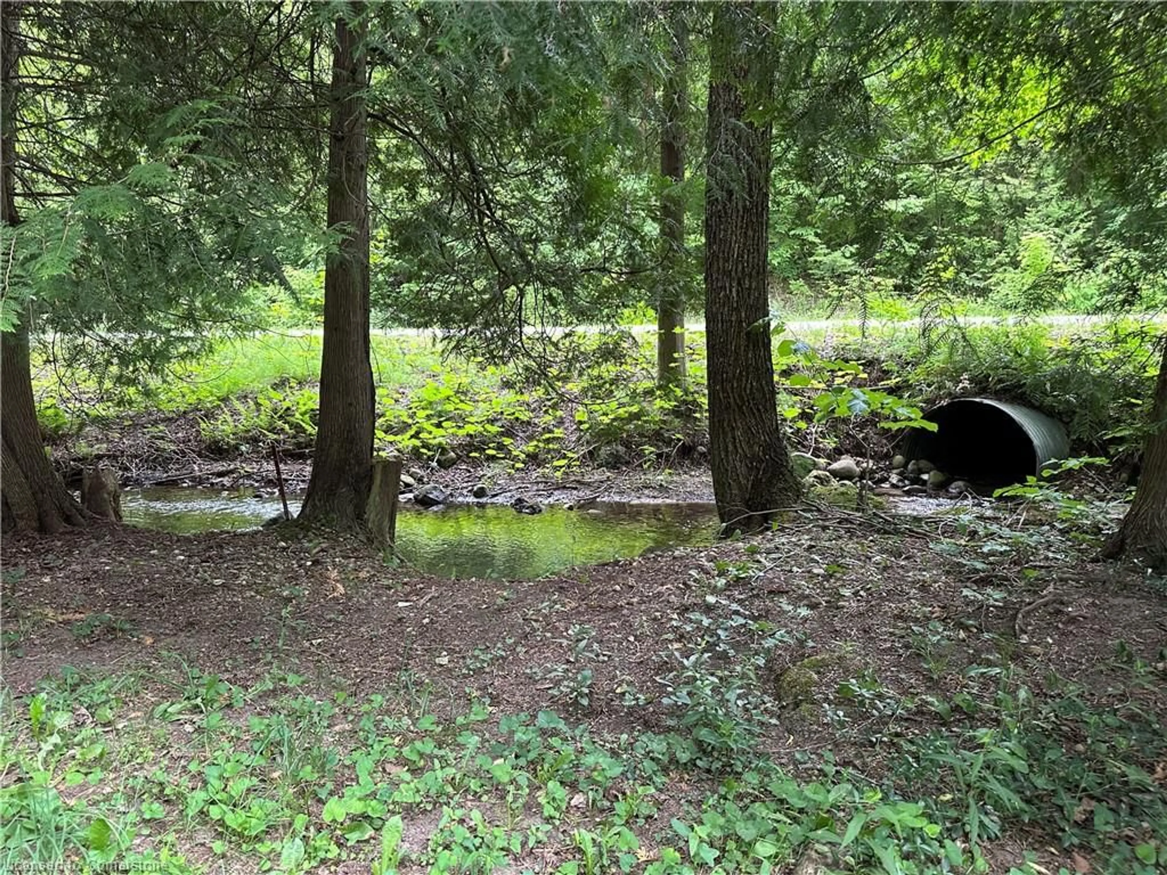 A pic from outside/outdoor area/front of a property/back of a property/a pic from drone, forest/trees view for 263076 Wilder Lake Rd, Southgate Ontario N0G 1R0