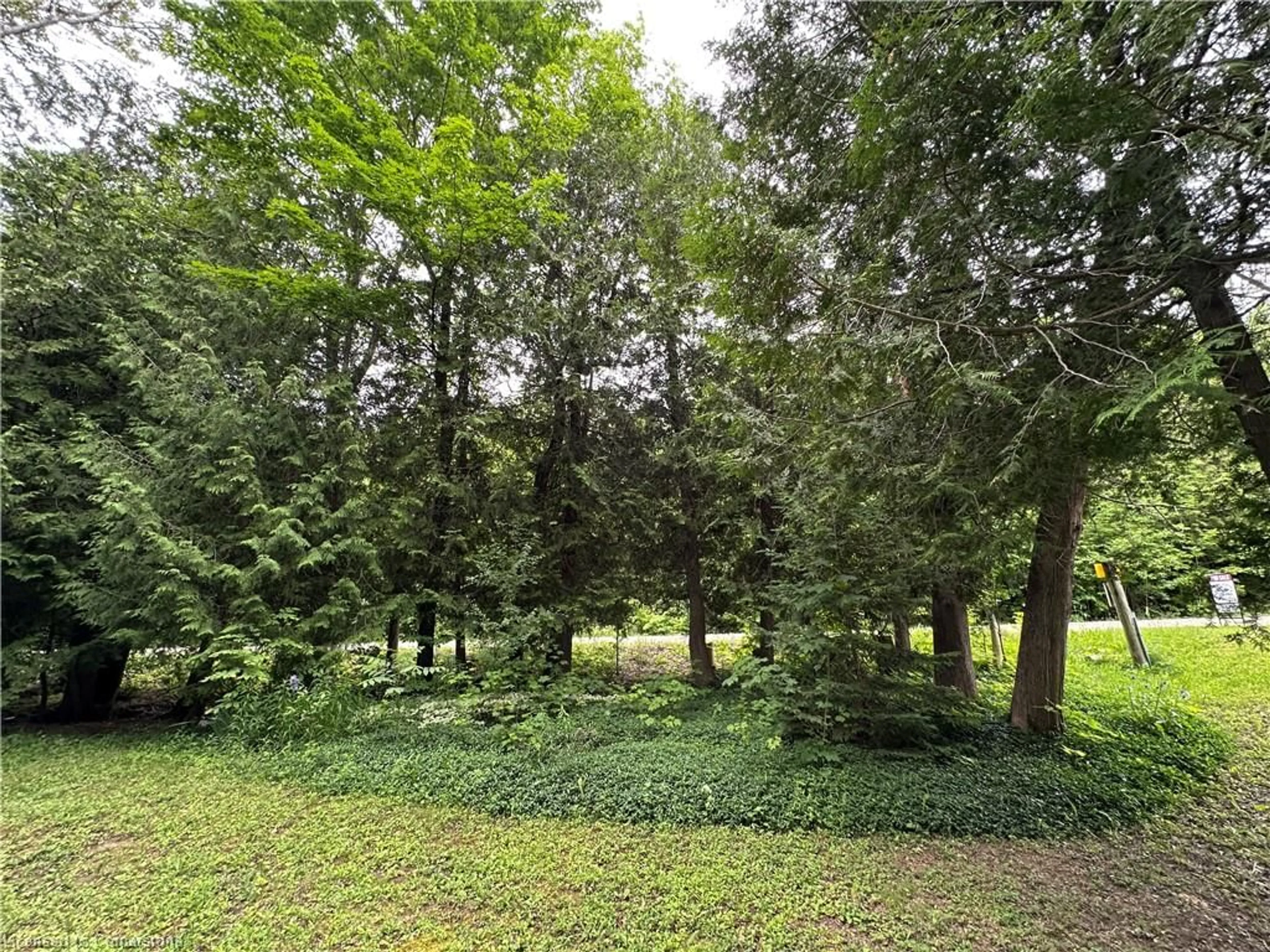 A pic from outside/outdoor area/front of a property/back of a property/a pic from drone, forest/trees view for 263076 Wilder Lake Rd, Southgate Ontario N0G 1R0