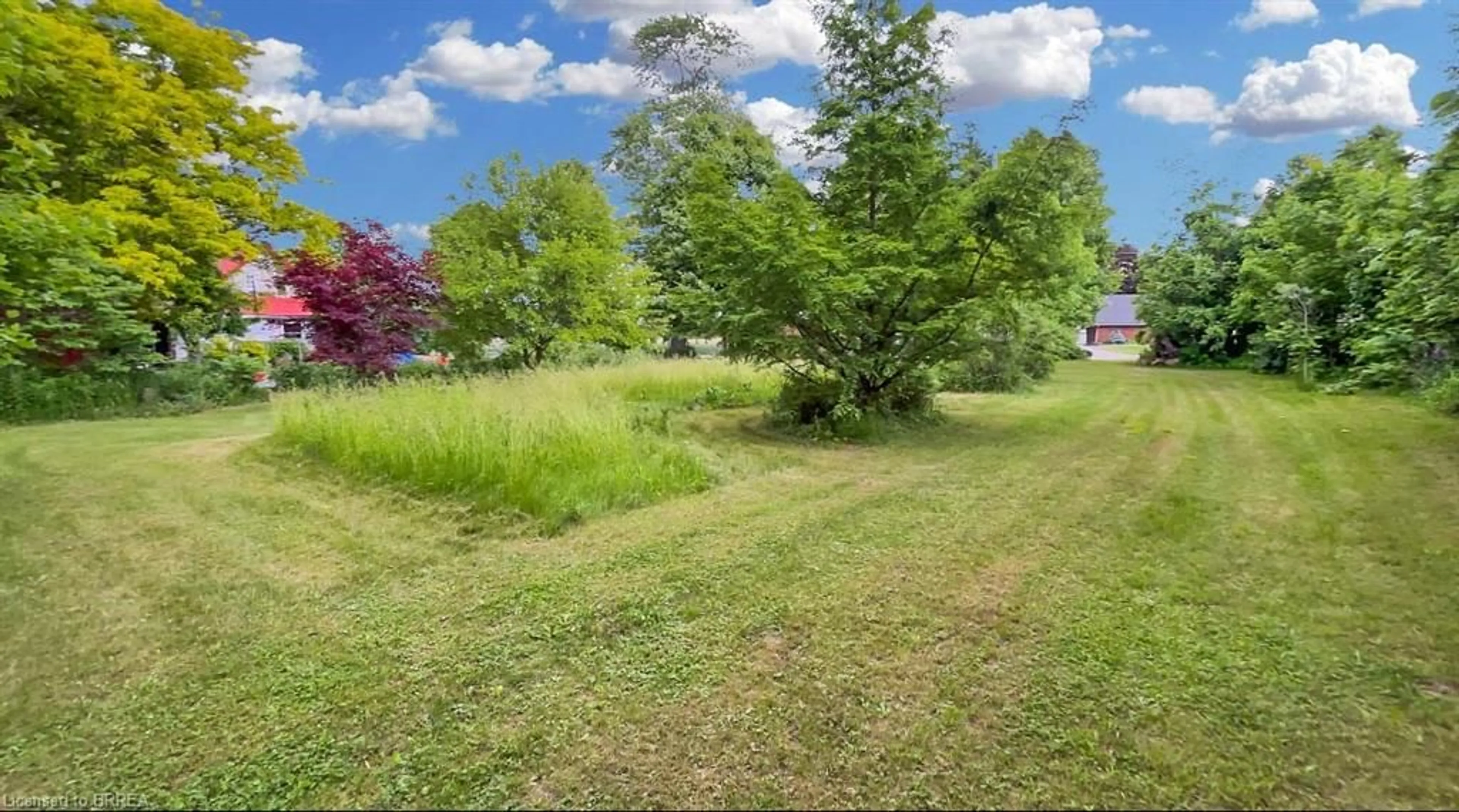 A pic from outside/outdoor area/front of a property/back of a property/a pic from drone, forest/trees view for 435 Pleasant Ridge Rd, Mount Pleasant Ontario N3T 5L5