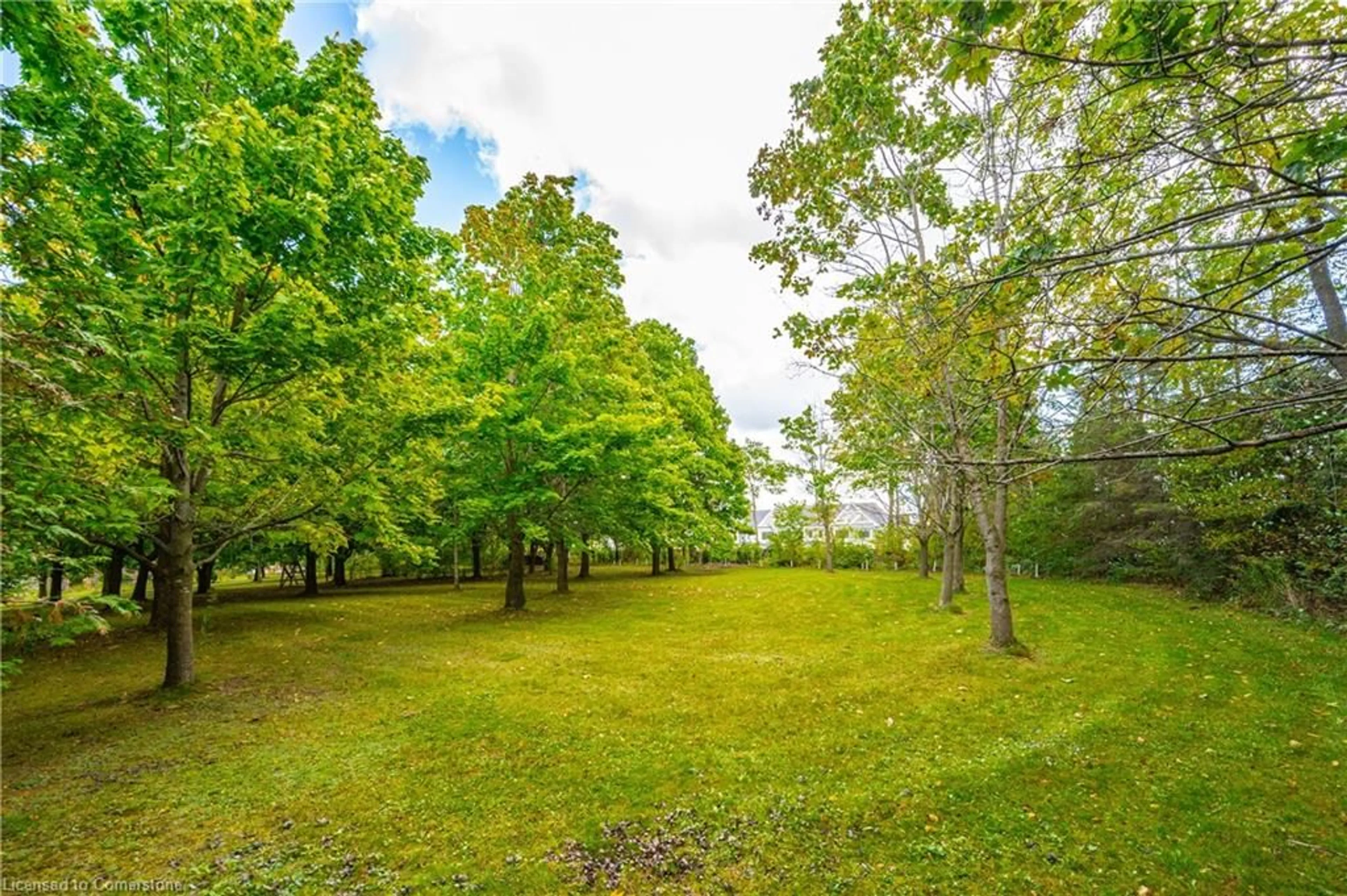 A pic from outside/outdoor area/front of a property/back of a property/a pic from drone, forest/trees view for 23A Gilkison St, Elora Ontario N0B 1S0