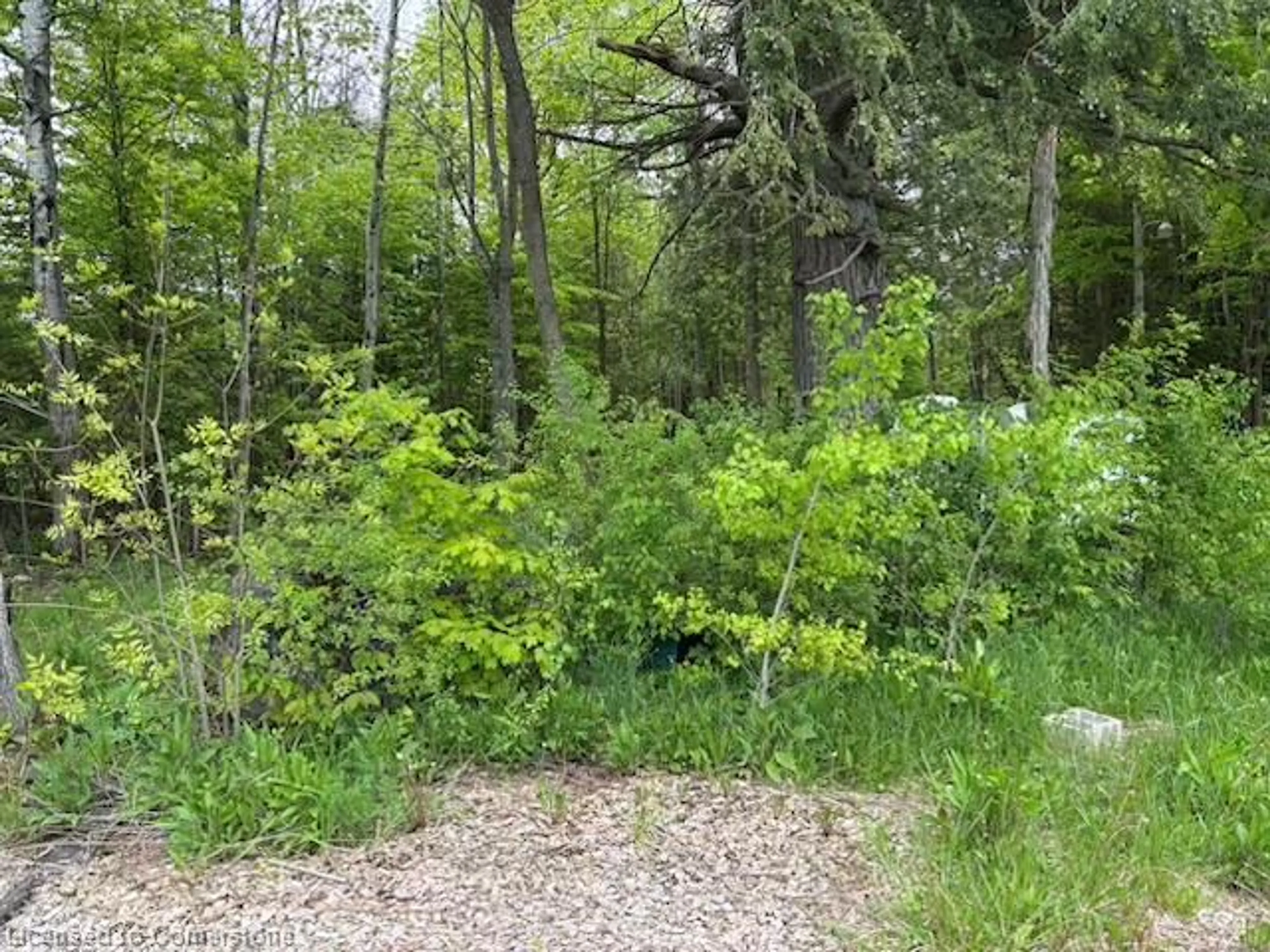 Unknown for 104264 Grey Road 18, Bognor Ontario N0E 1H0