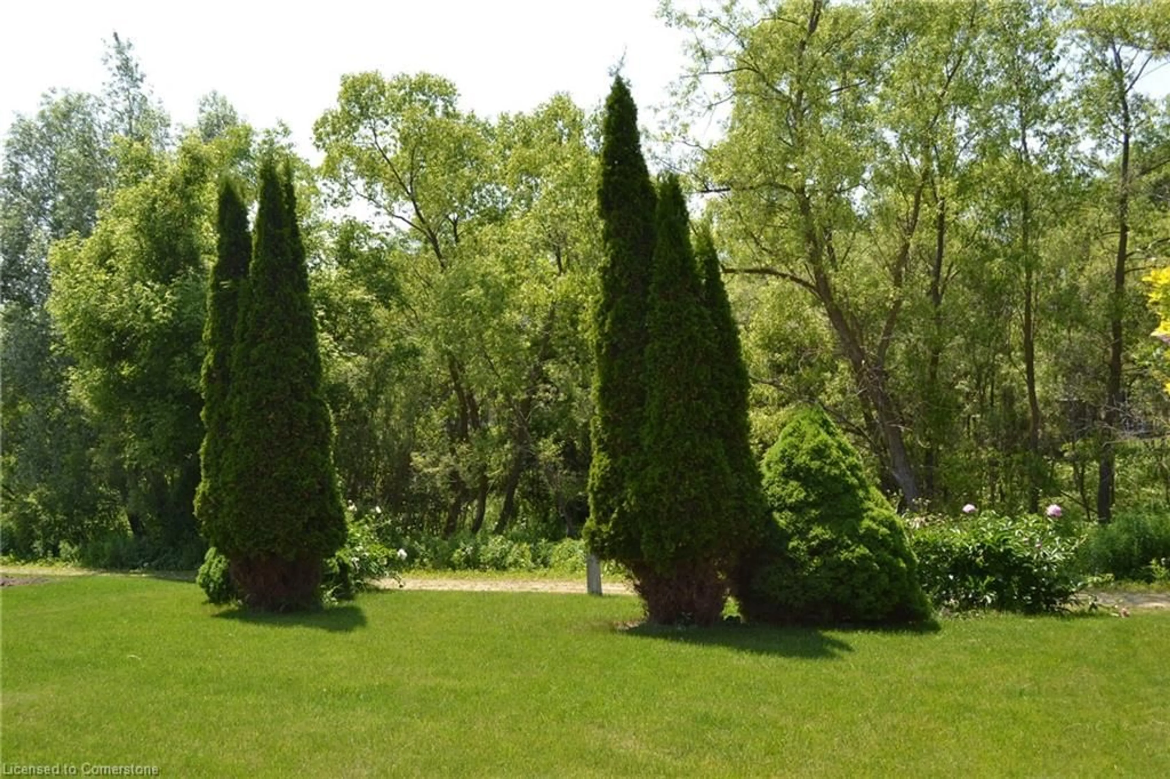 Patio, forest/trees view for 134 Killdeer Rd, Elmira Ontario N3B 3N1