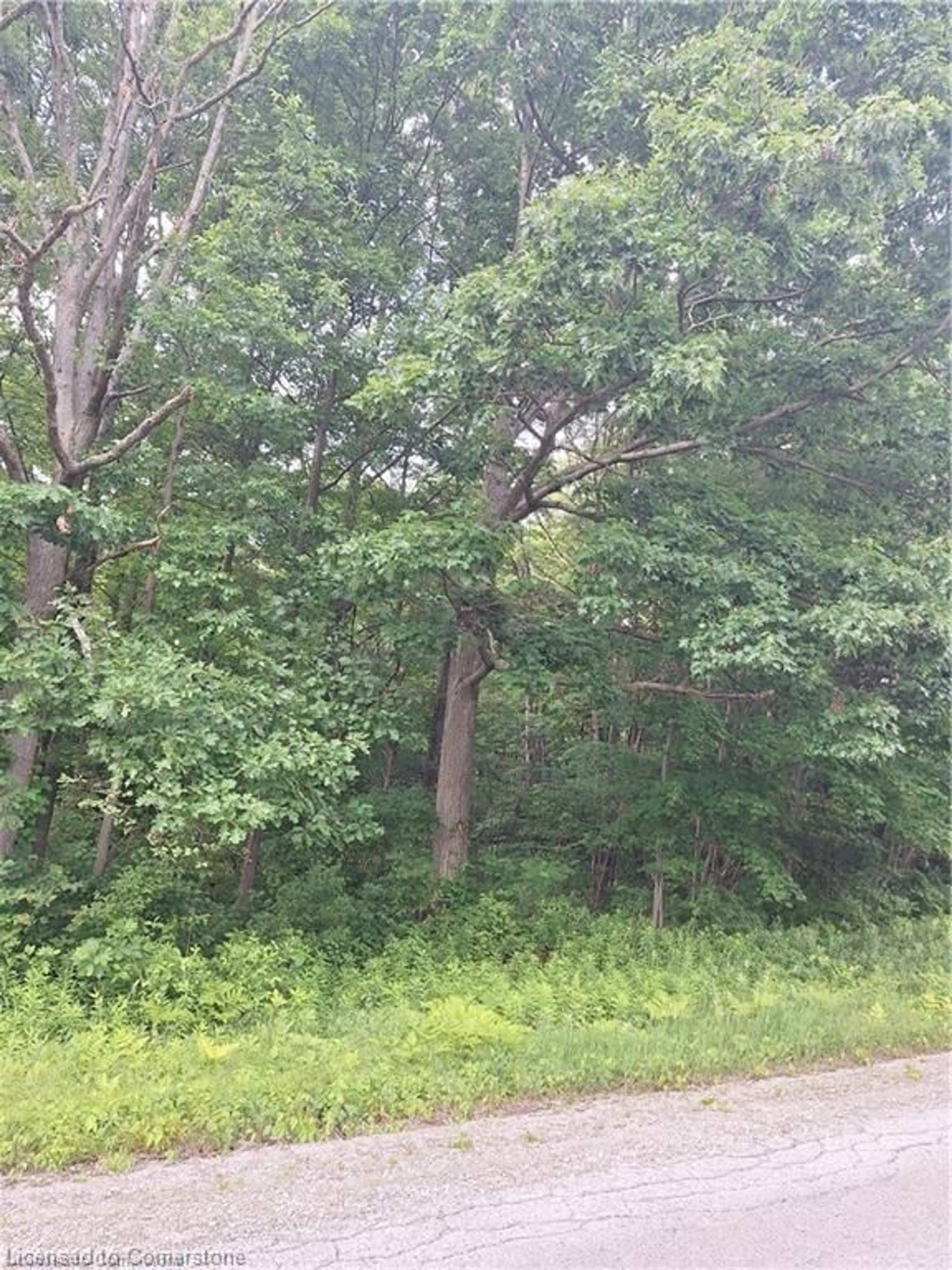 Blurry image for 839 Windham Rd 12 Rd, Delhi Ontario N3Y 4K6