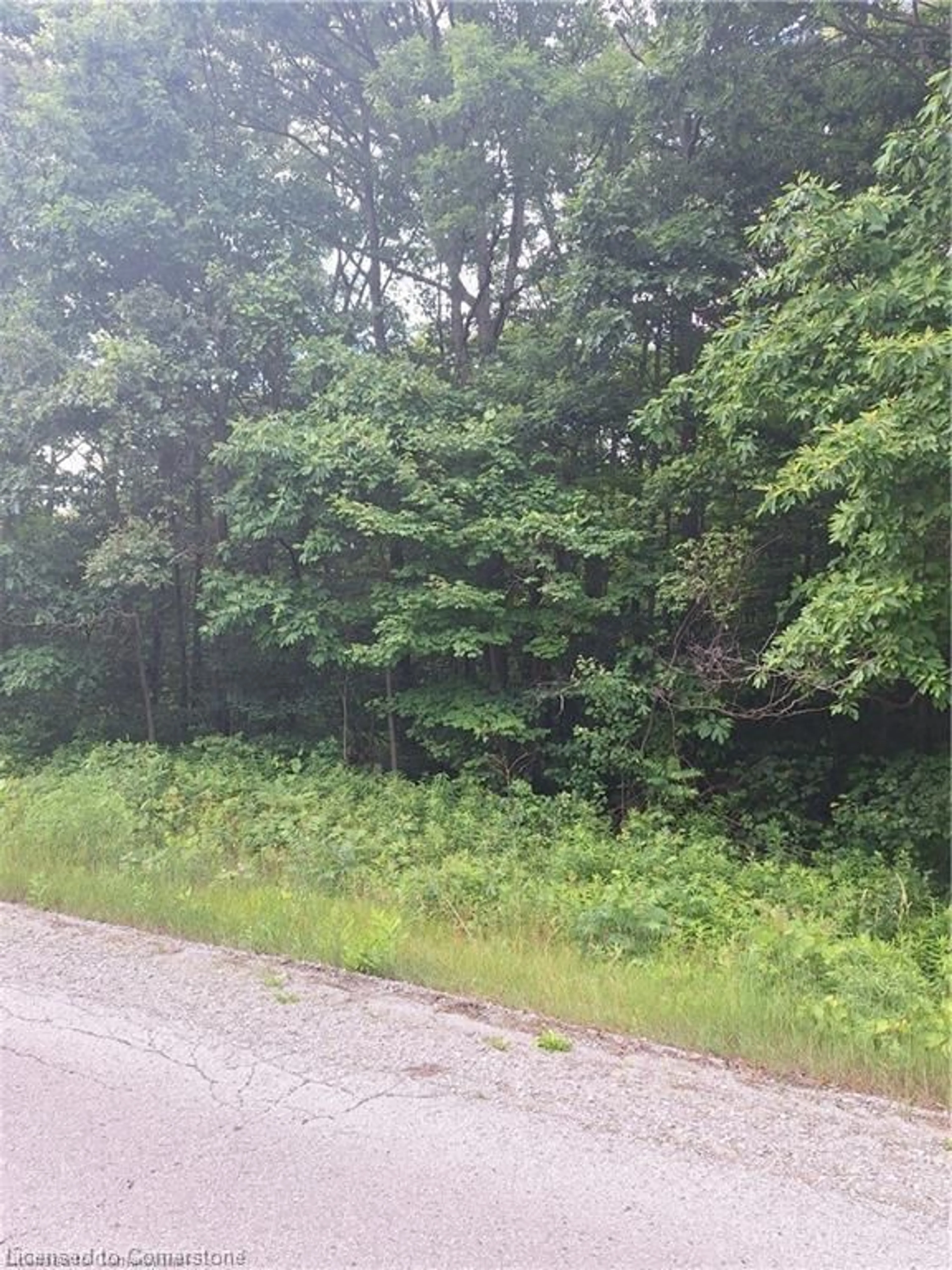 Blurry image for 839 Windham Rd 12 Rd, Delhi Ontario N3Y 4K6