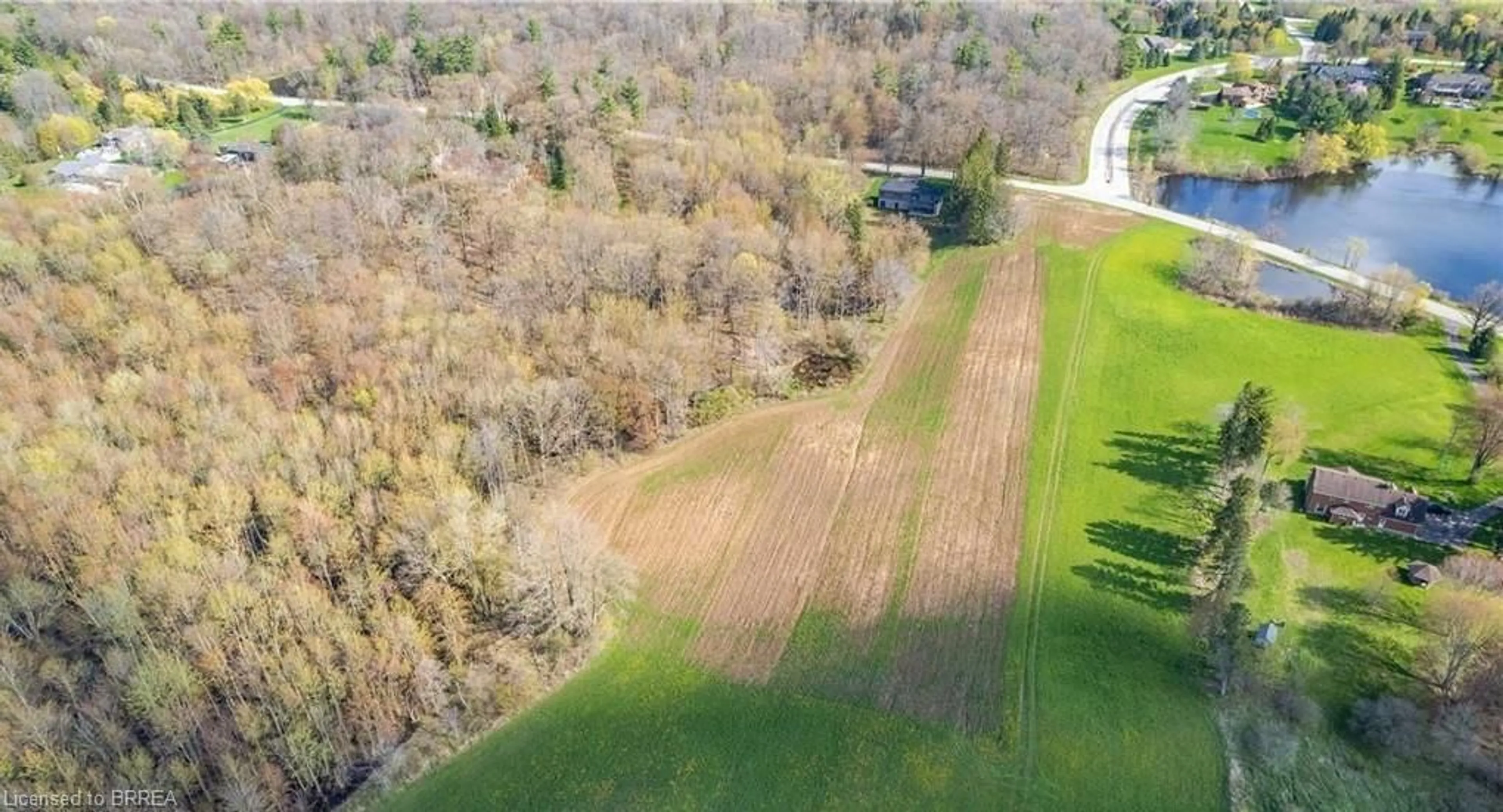 A pic from outside/outdoor area/front of a property/back of a property/a pic from drone, forest/trees view for 371 Scenic Dr, St. George Ontario N0E 1N0