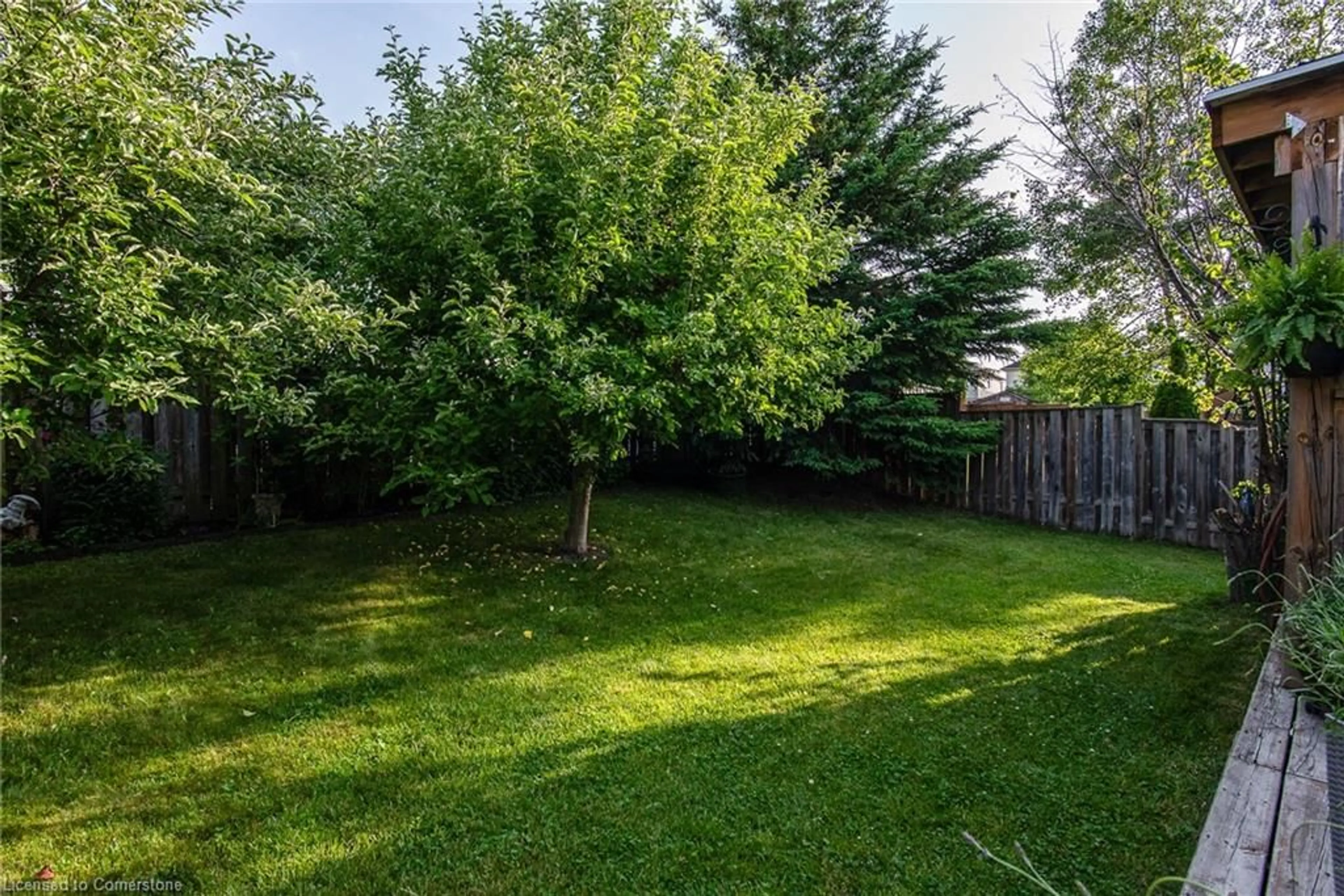 Patio, forest/trees view for 71 Dubrick Cres, Kitchener Ontario N2E 4A7