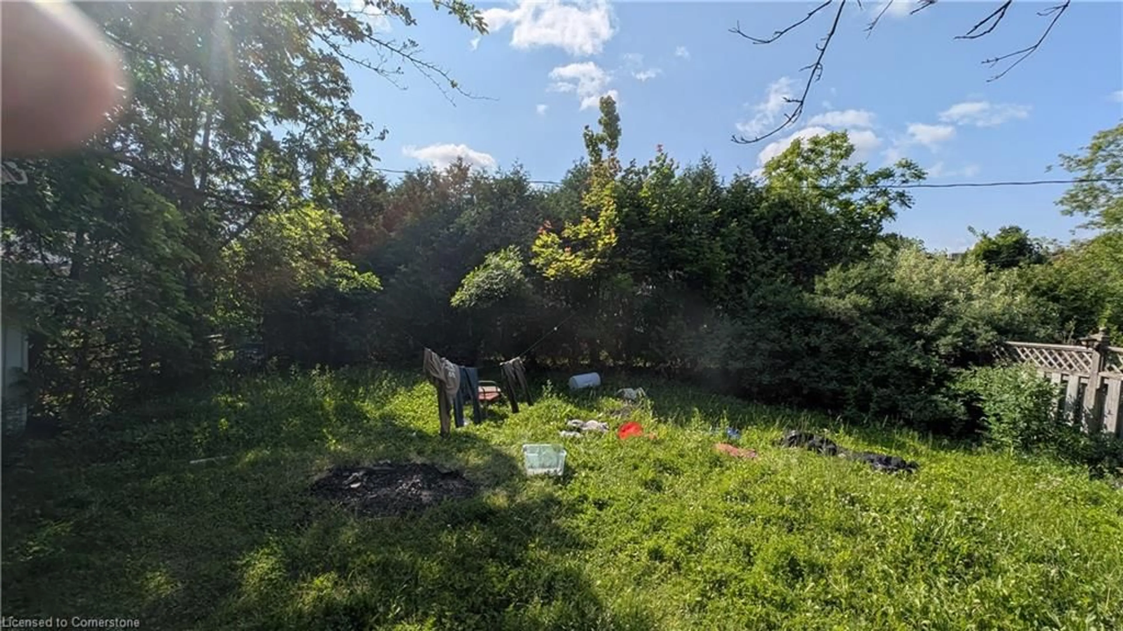 A pic from outside/outdoor area/front of a property/back of a property/a pic from drone, forest/trees view for 109 Noecker St, Waterloo Ontario N2J 2R7