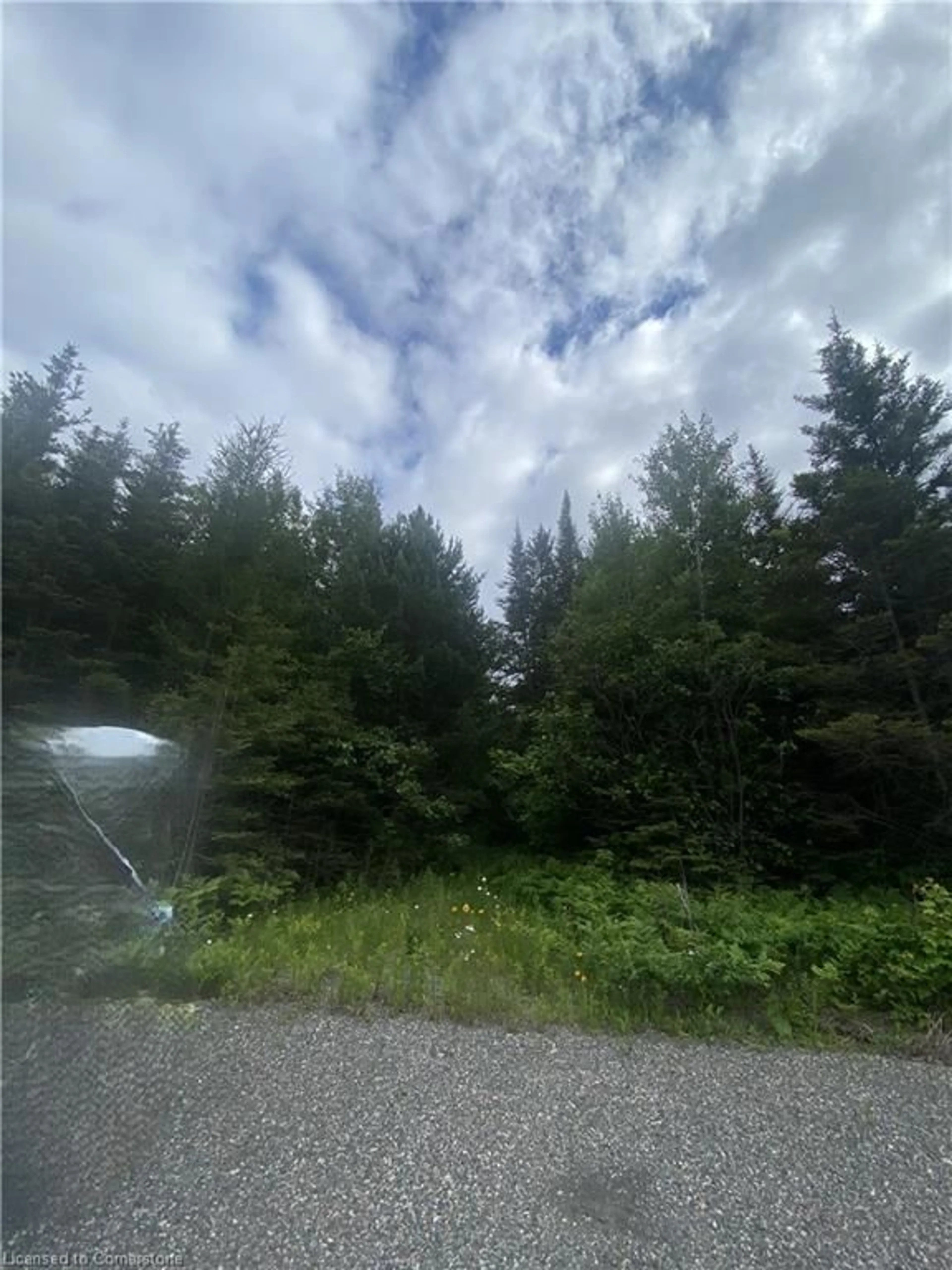 Blurry image for LOT 1 (ON-17) Trans Canada Hwy, Plummer Additional Ontario P0R 1C0