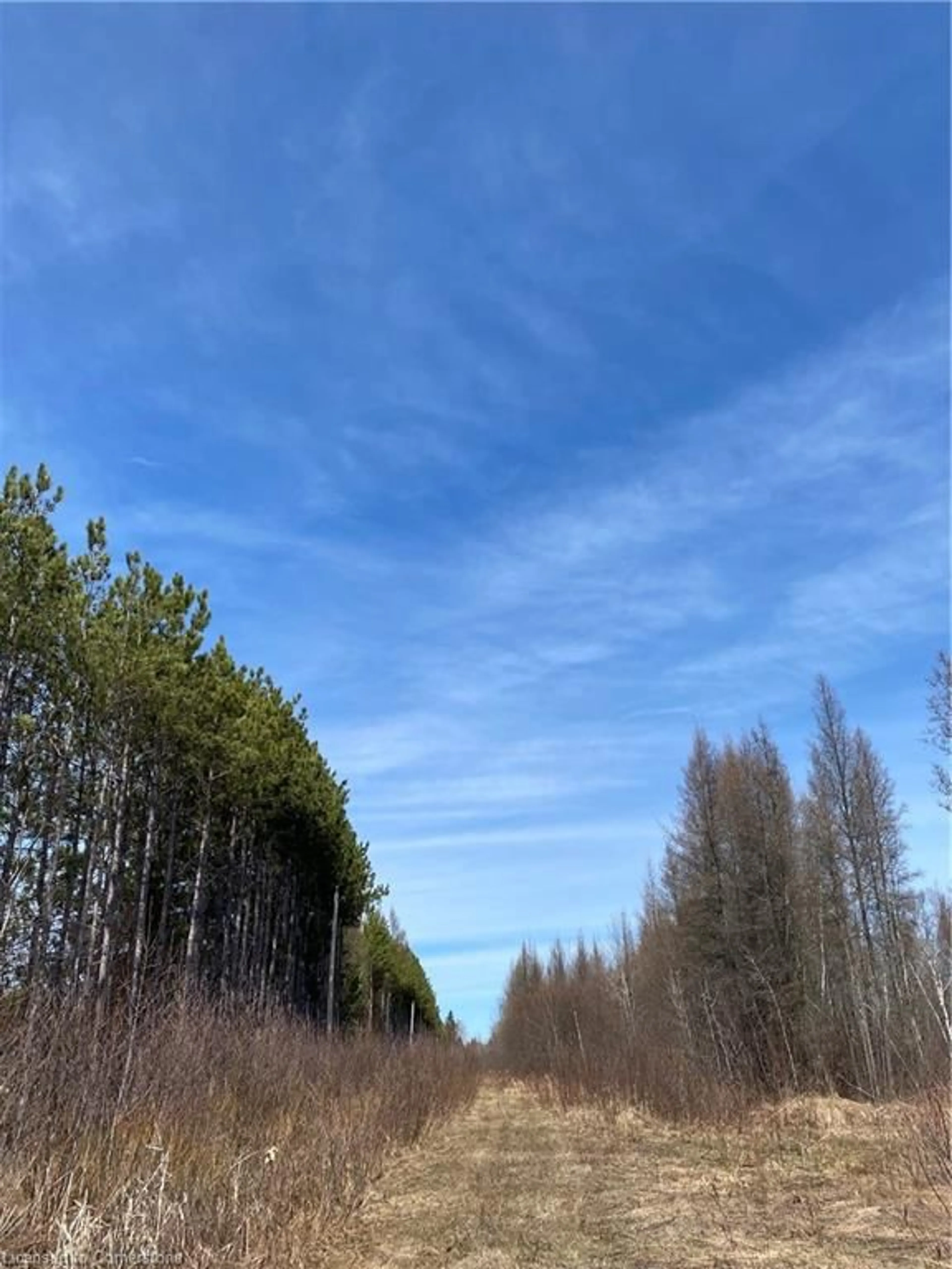 Blurry image for 12253 (ON-17) Trans Canada Hwy, Sturgeon Falls Ontario P2B 2P1