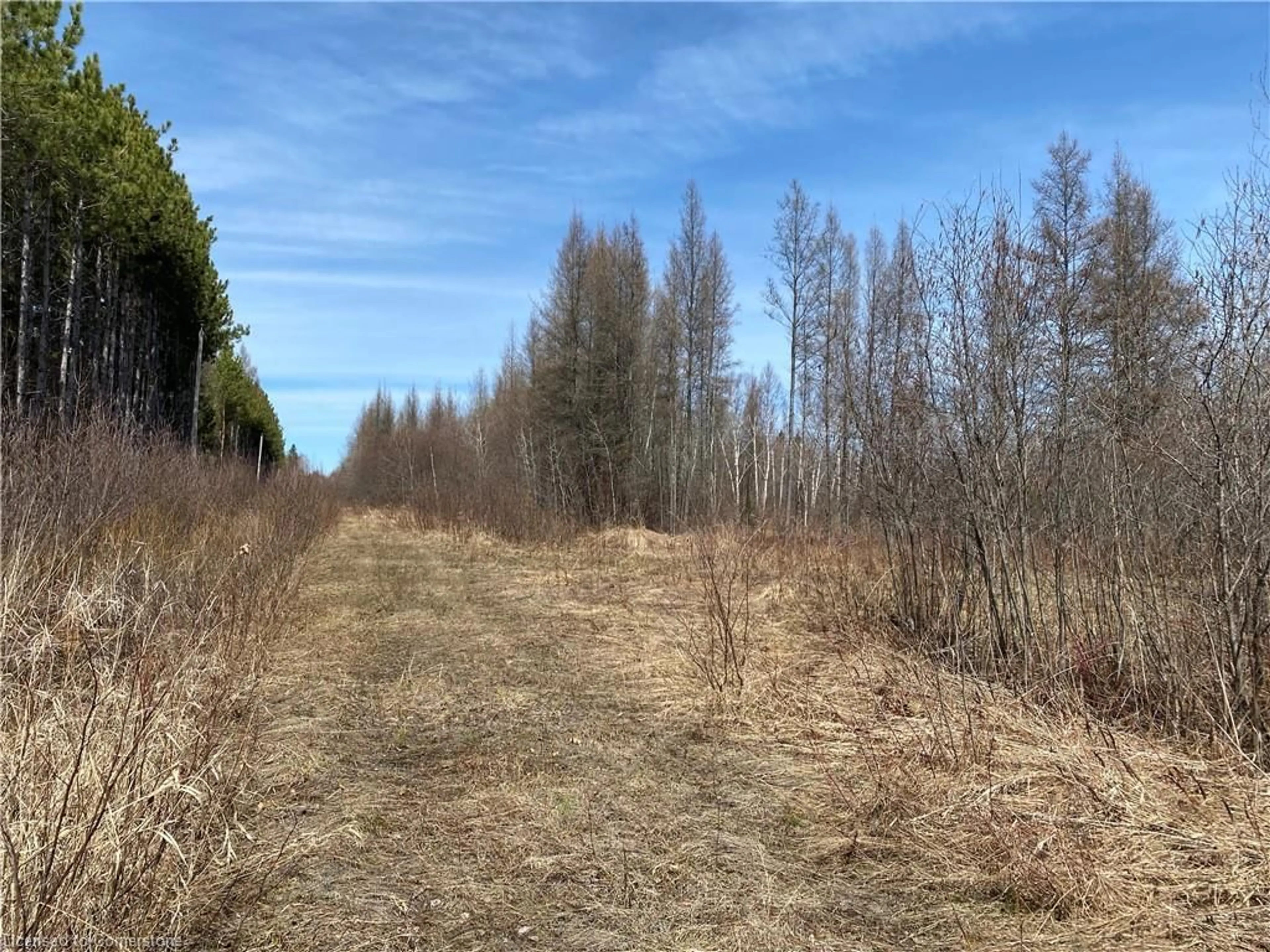 Blurry image for 12253 (ON-17) Trans Canada Hwy, Sturgeon Falls Ontario P2B 2P1