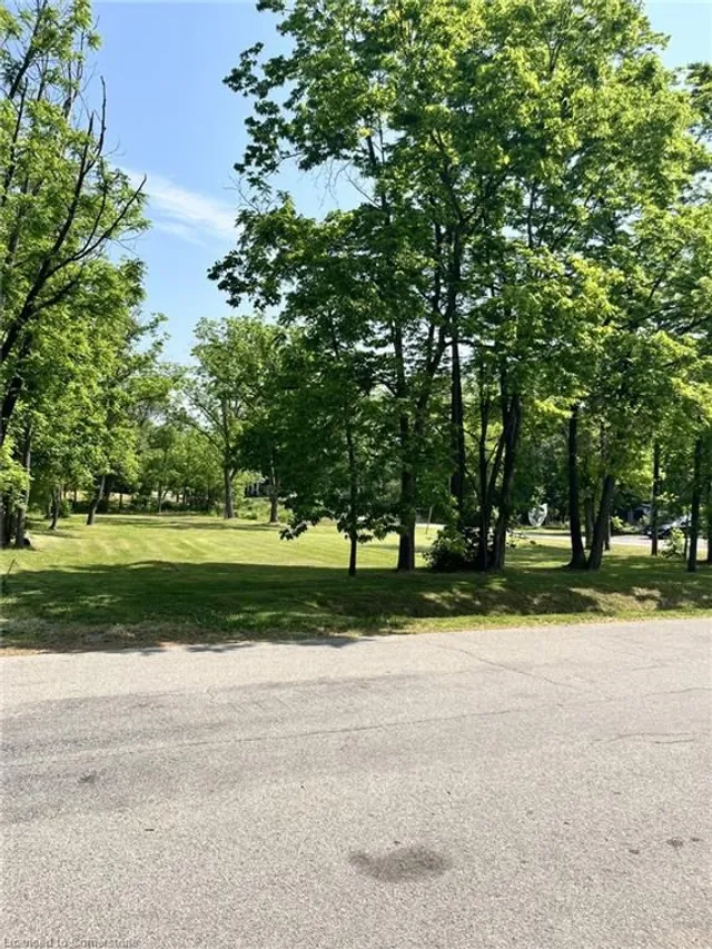 LOT 5 Centre St, Brantford 3