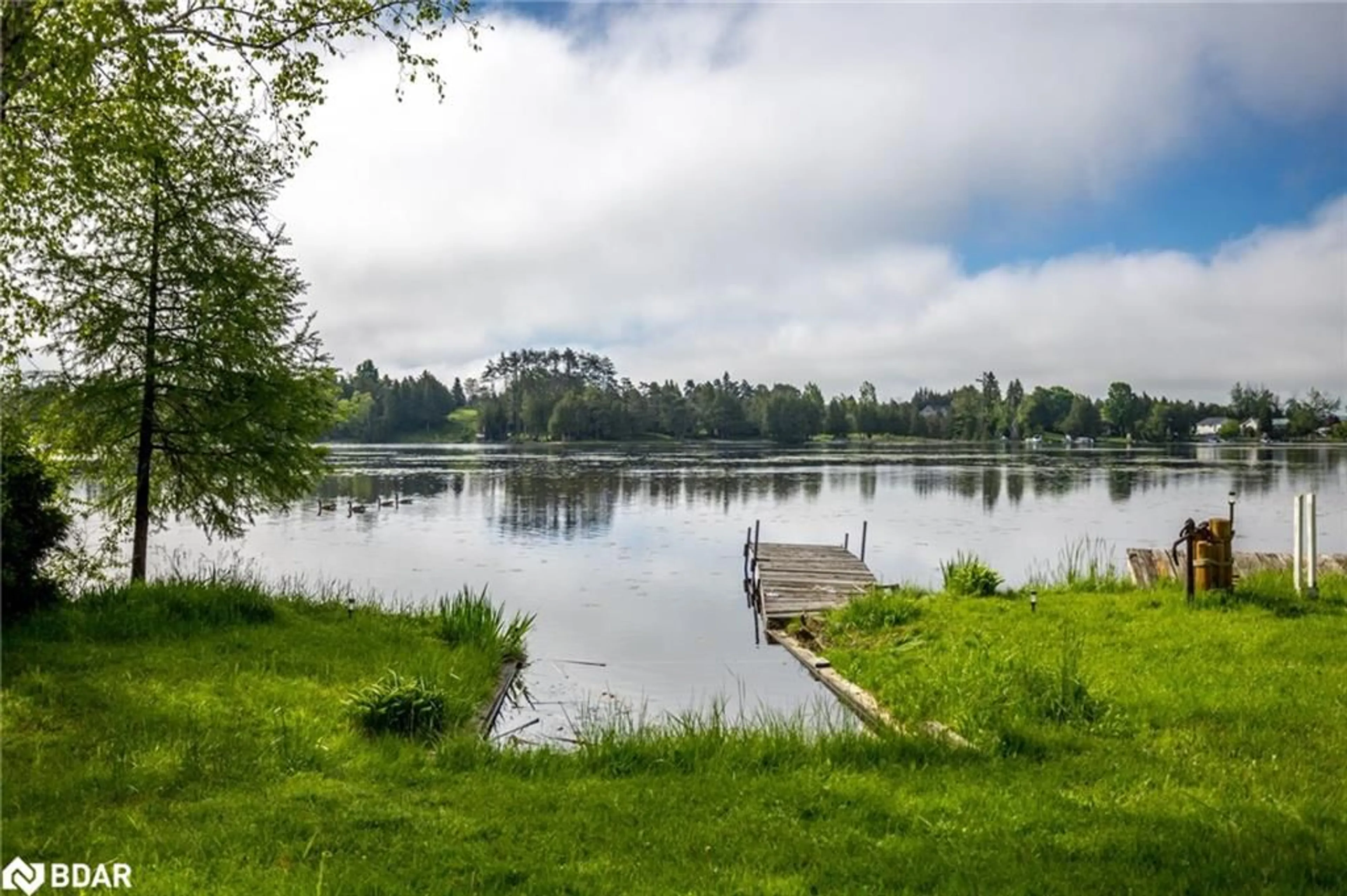 Unknown for 22 Evergreen St, Omemee Ontario K0L 2W0
