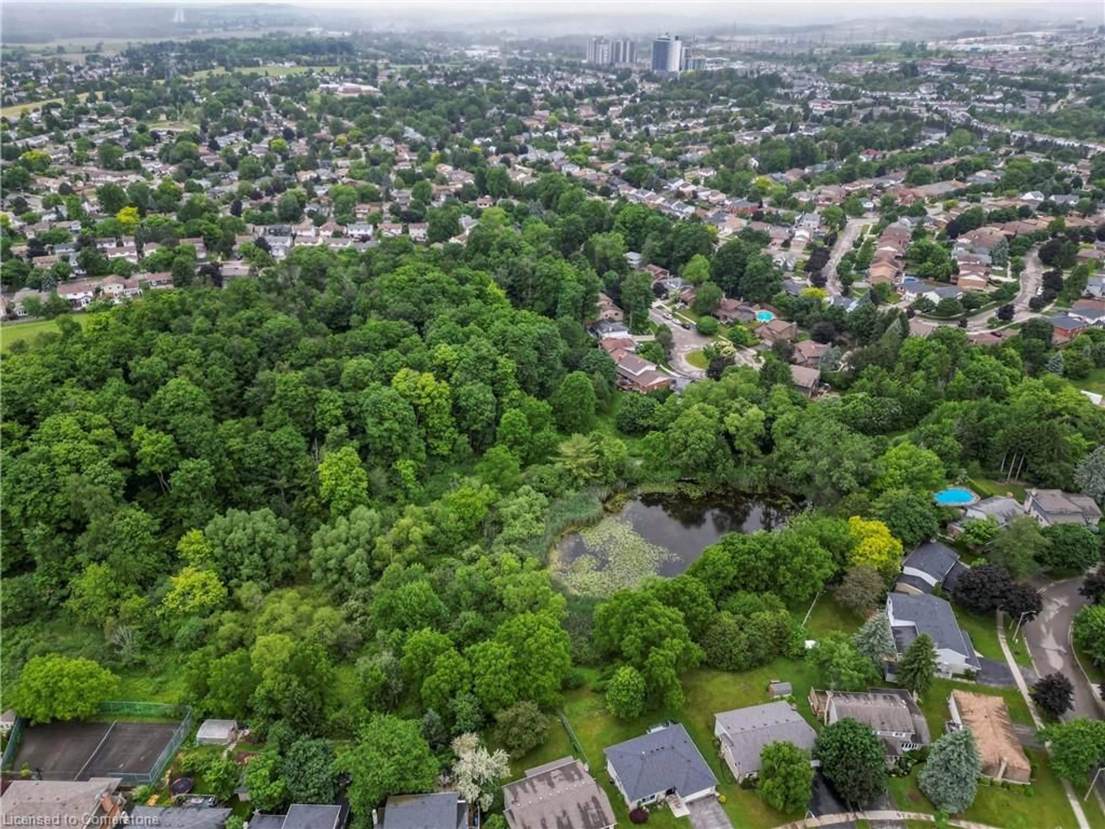 A pic from outside/outdoor area/front of a property/back of a property/a pic from drone, forest/trees view for 23 Greenbough Crt, Kitchener Ontario N2N 1L8