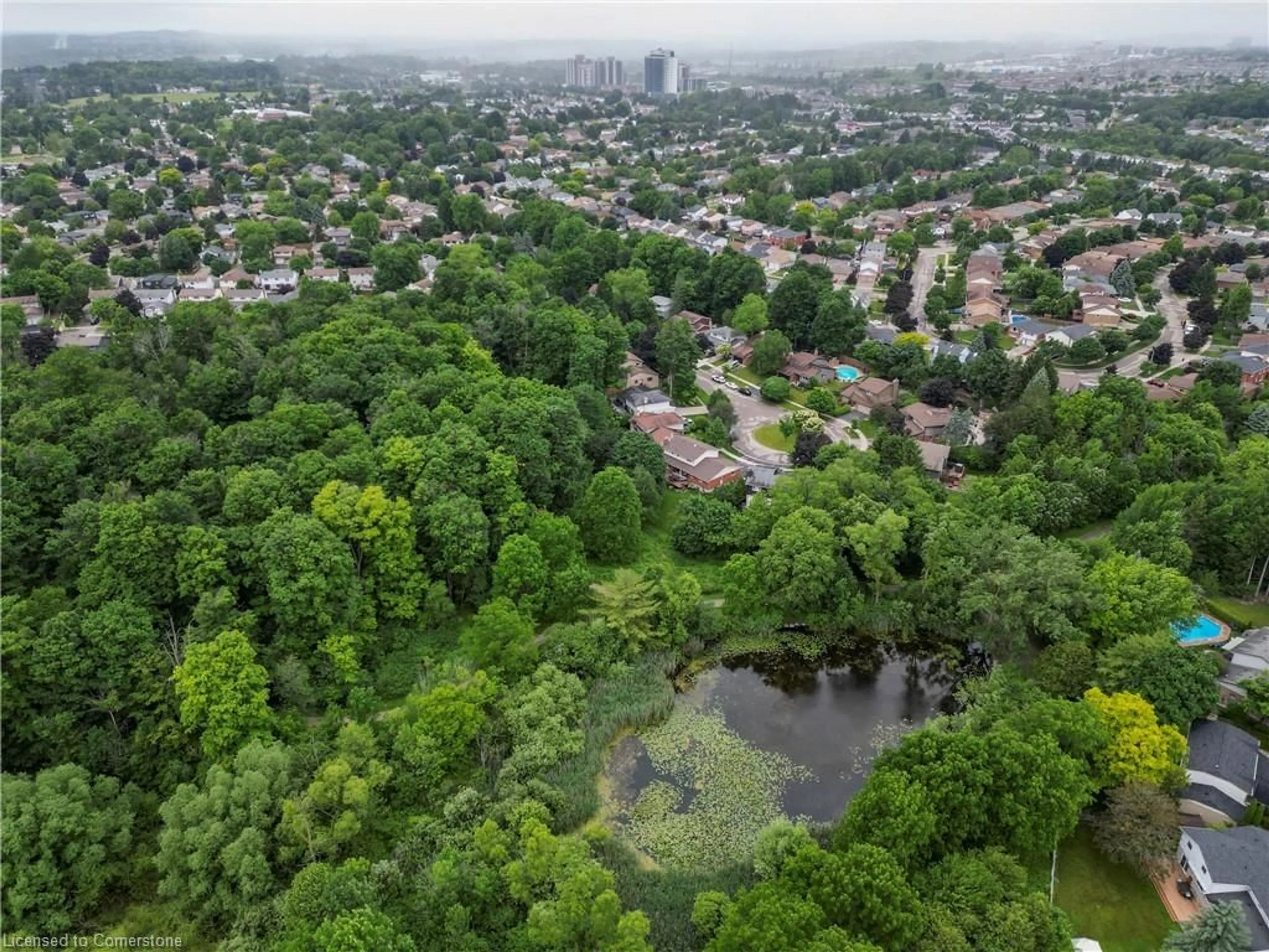 A pic from outside/outdoor area/front of a property/back of a property/a pic from drone, forest/trees view for 23 Greenbough Crt, Kitchener Ontario N2N 1L8