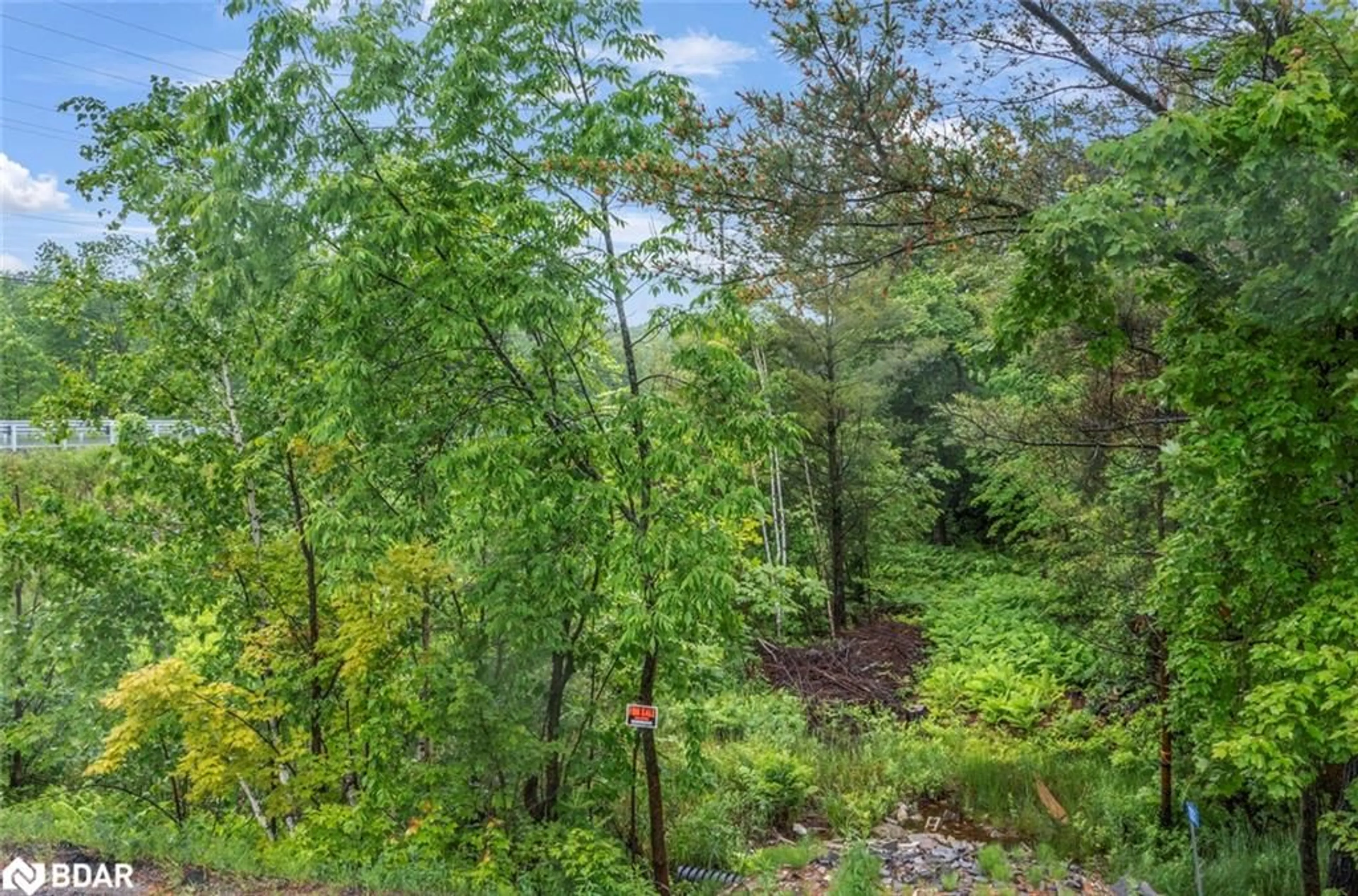 Patio, forest/trees view for 1001 Woodroffe Rd, Minett Ontario P0C 1H0
