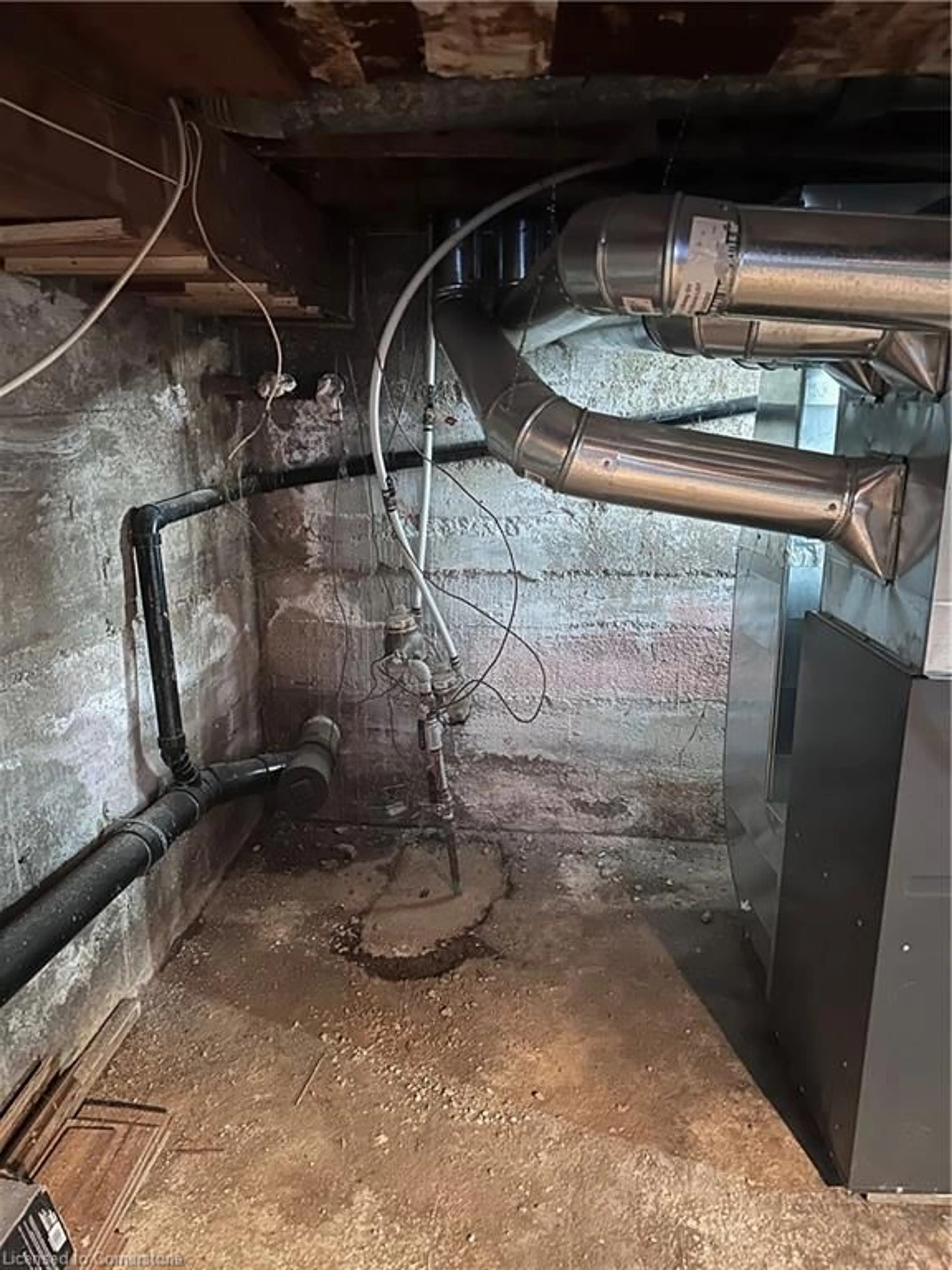 A pic of a room for 203 Grove St, Simcoe Ontario N3Y 1K5
