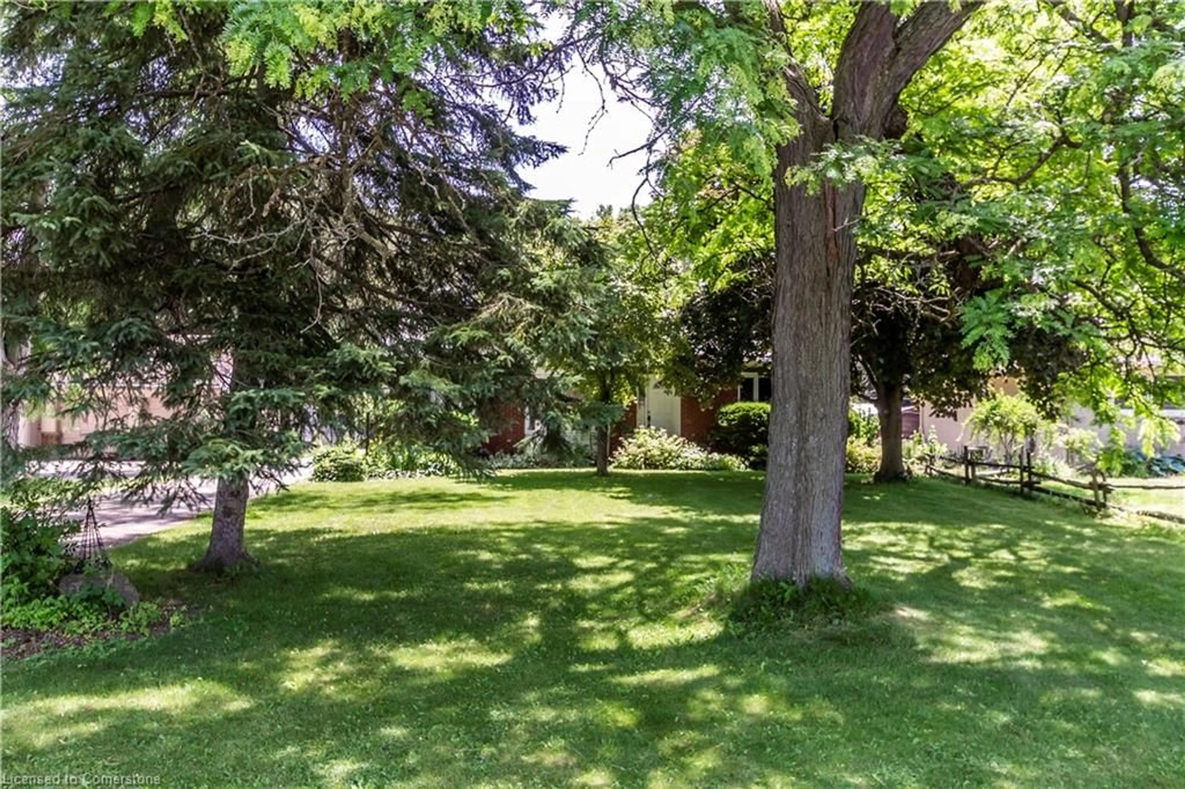 A pic from outside/outdoor area/front of a property/back of a property/a pic from drone, forest/trees view for 141 Riverbank Dr, Cambridge Ontario N3H 4R6