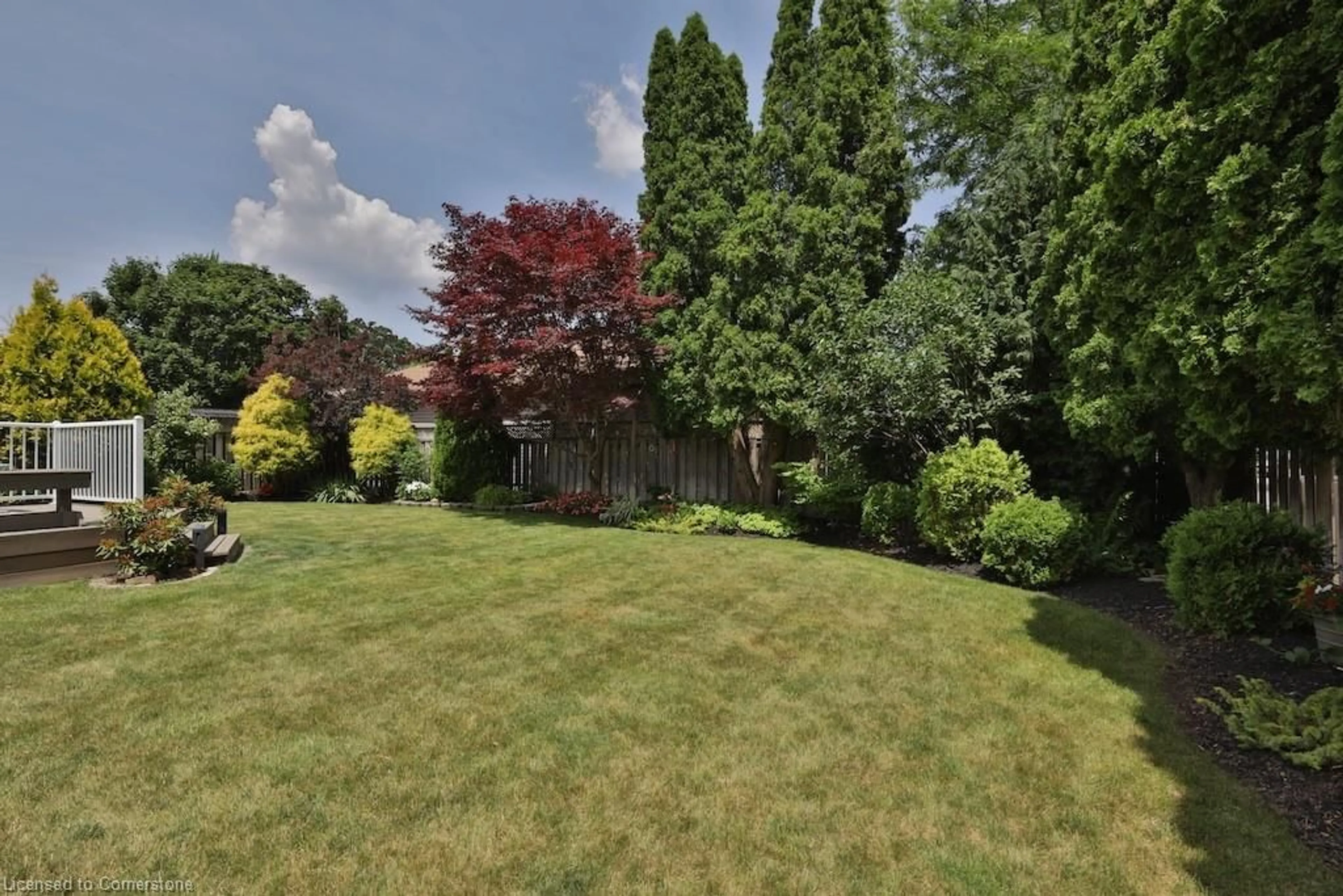 A pic from outside/outdoor area/front of a property/back of a property/a pic from drone, unknown for 87 Cecil St, St. Catharines Ontario L2N 4B3