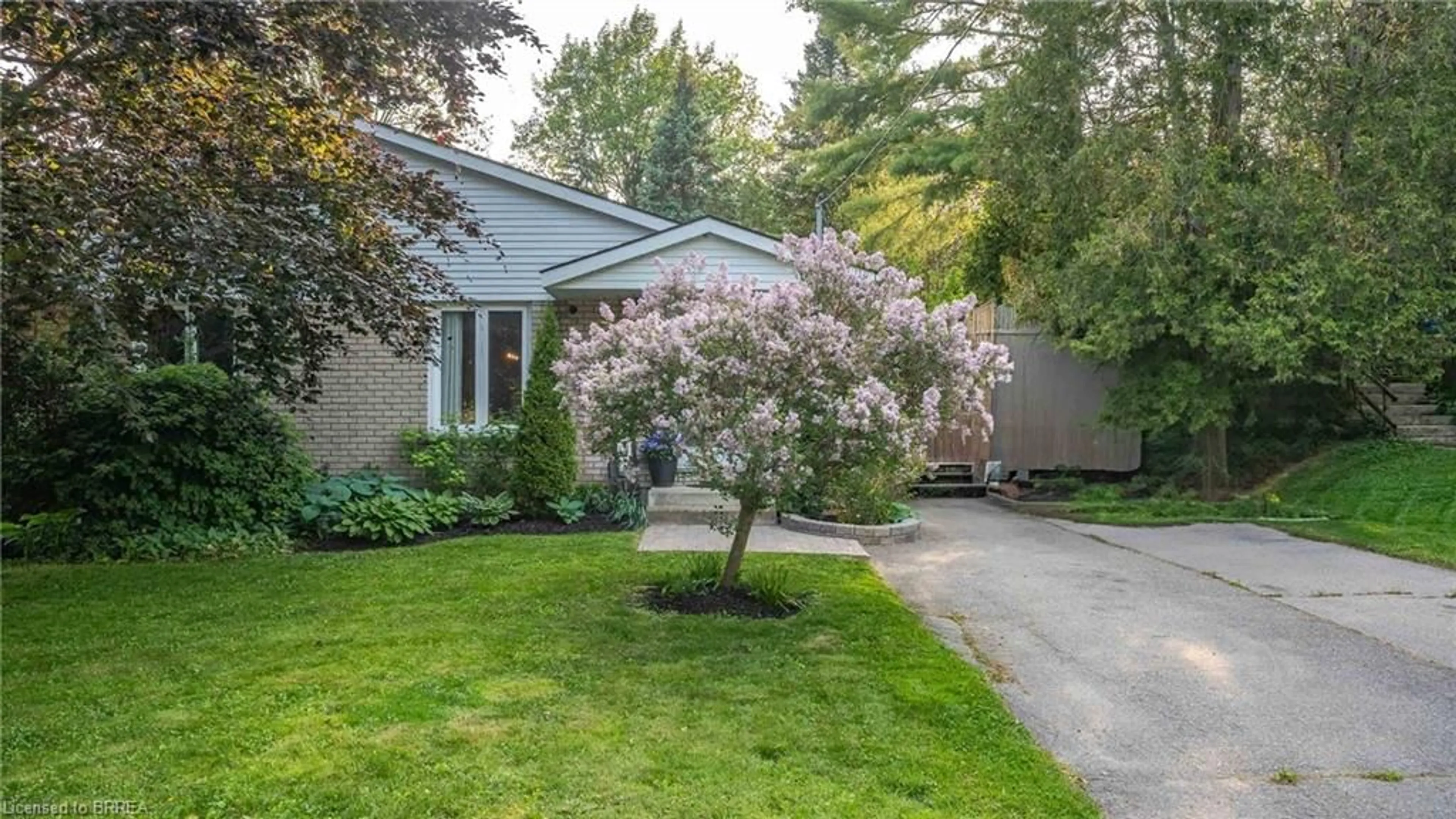 Unknown for 29 Amelia St, Paris Ontario N3L 1Z4