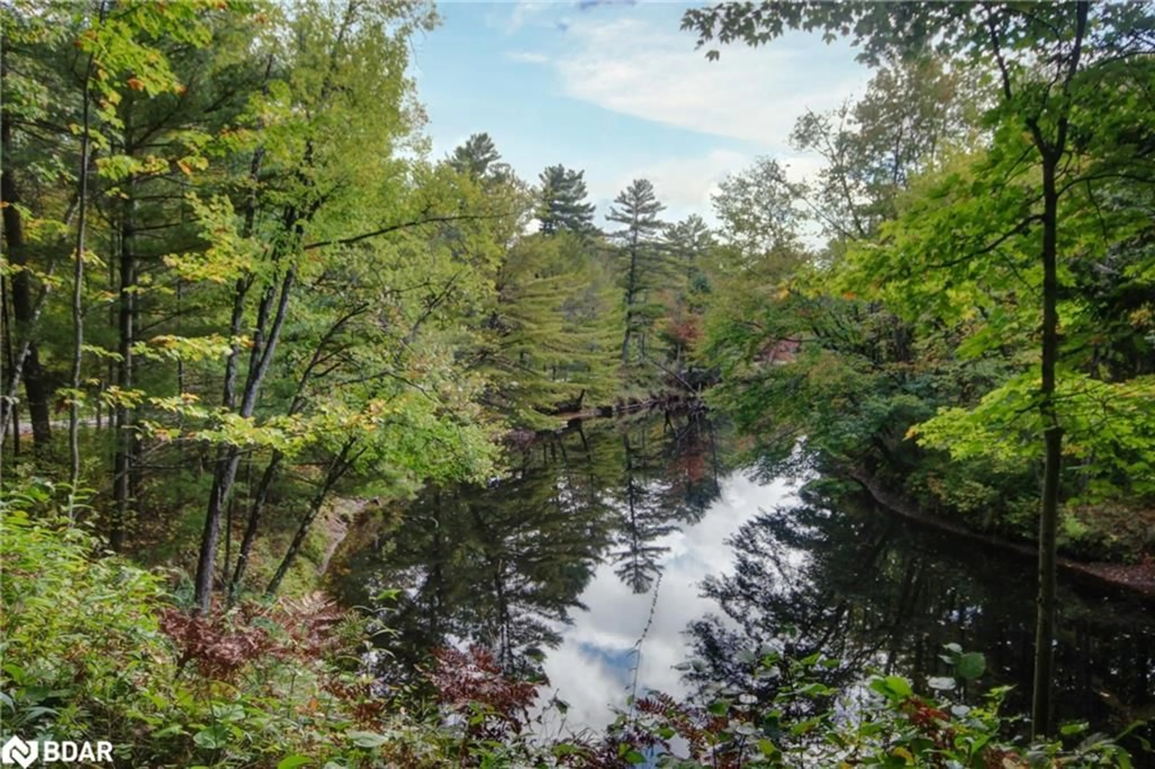 Unknown for 54 Black River Rd, Washago Ontario L0K 2B0