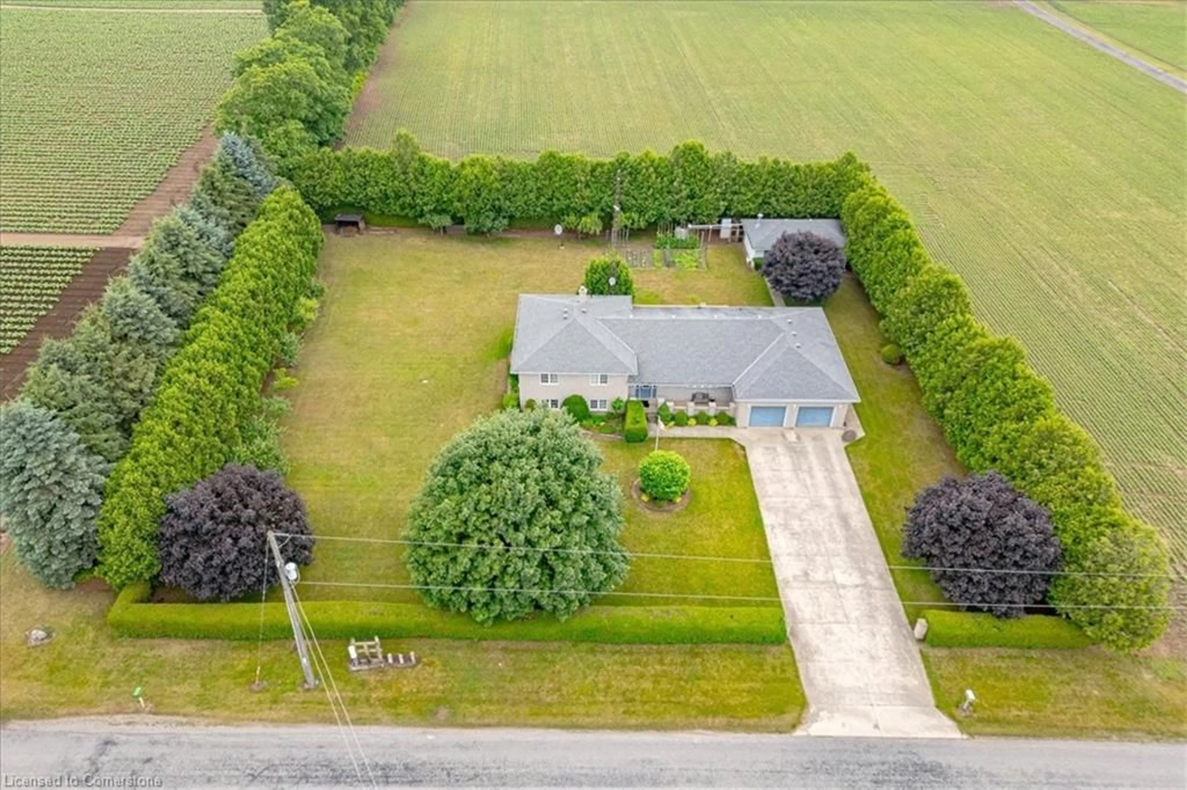 A pic from outside/outdoor area/front of a property/back of a property/a pic from drone, street for 359 Windham Road 13 Rd, Delhi Ontario N4B 2W5