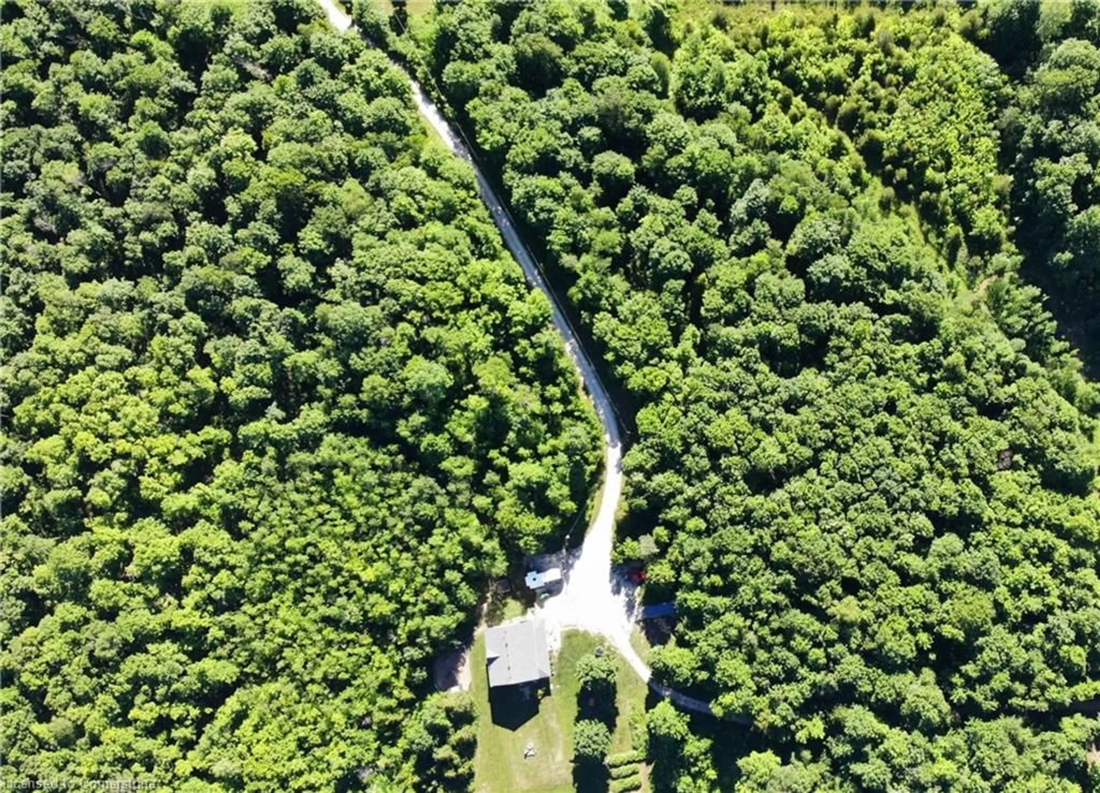 A pic from outside/outdoor area/front of a property/back of a property/a pic from drone, forest/trees view for 179482 Grey Road 17, Wiarton Ontario N0H 2T0
