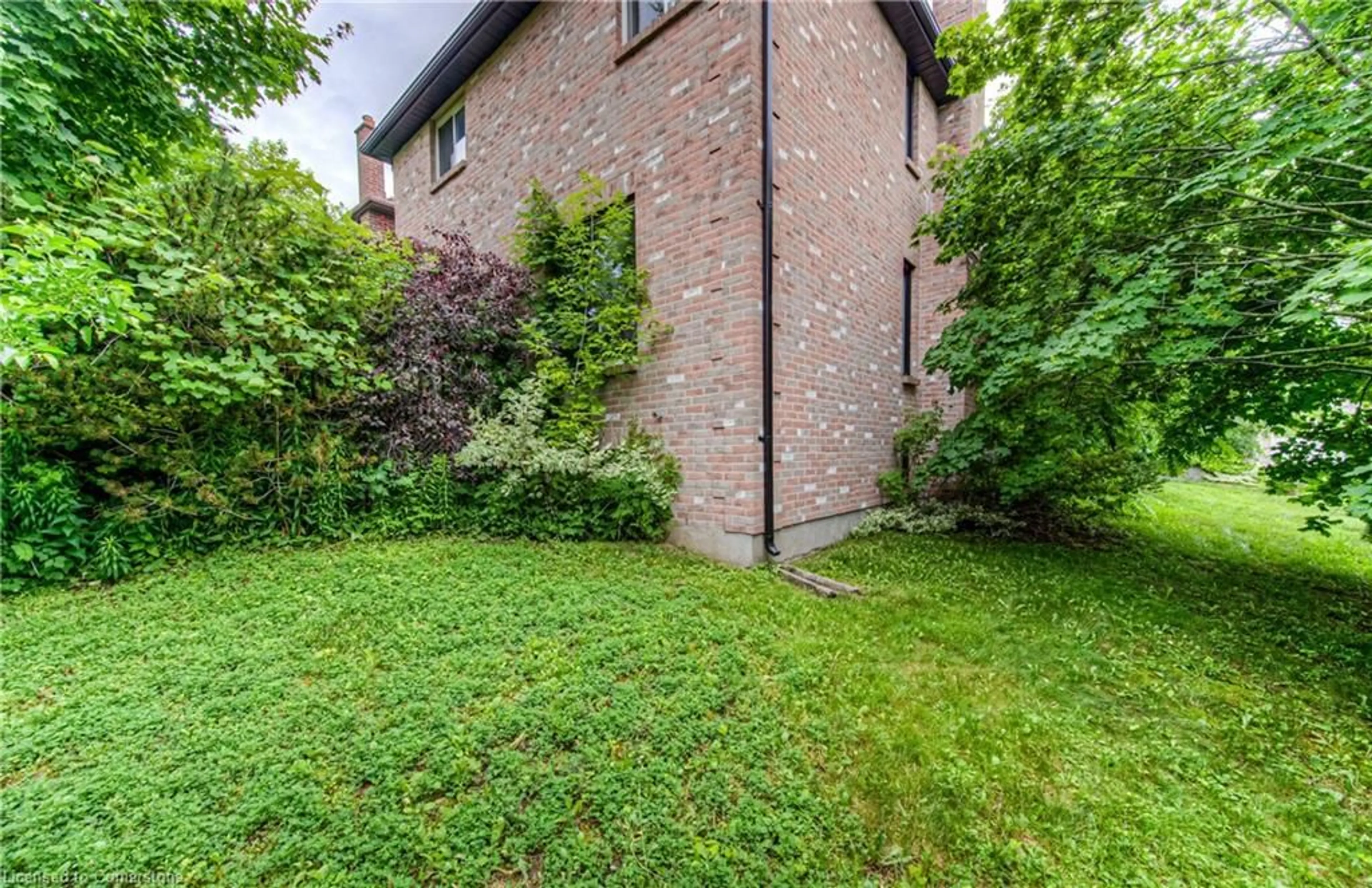 Patio, street for 383 Burnett Ave, Cambridge Ontario N1T 1G8
