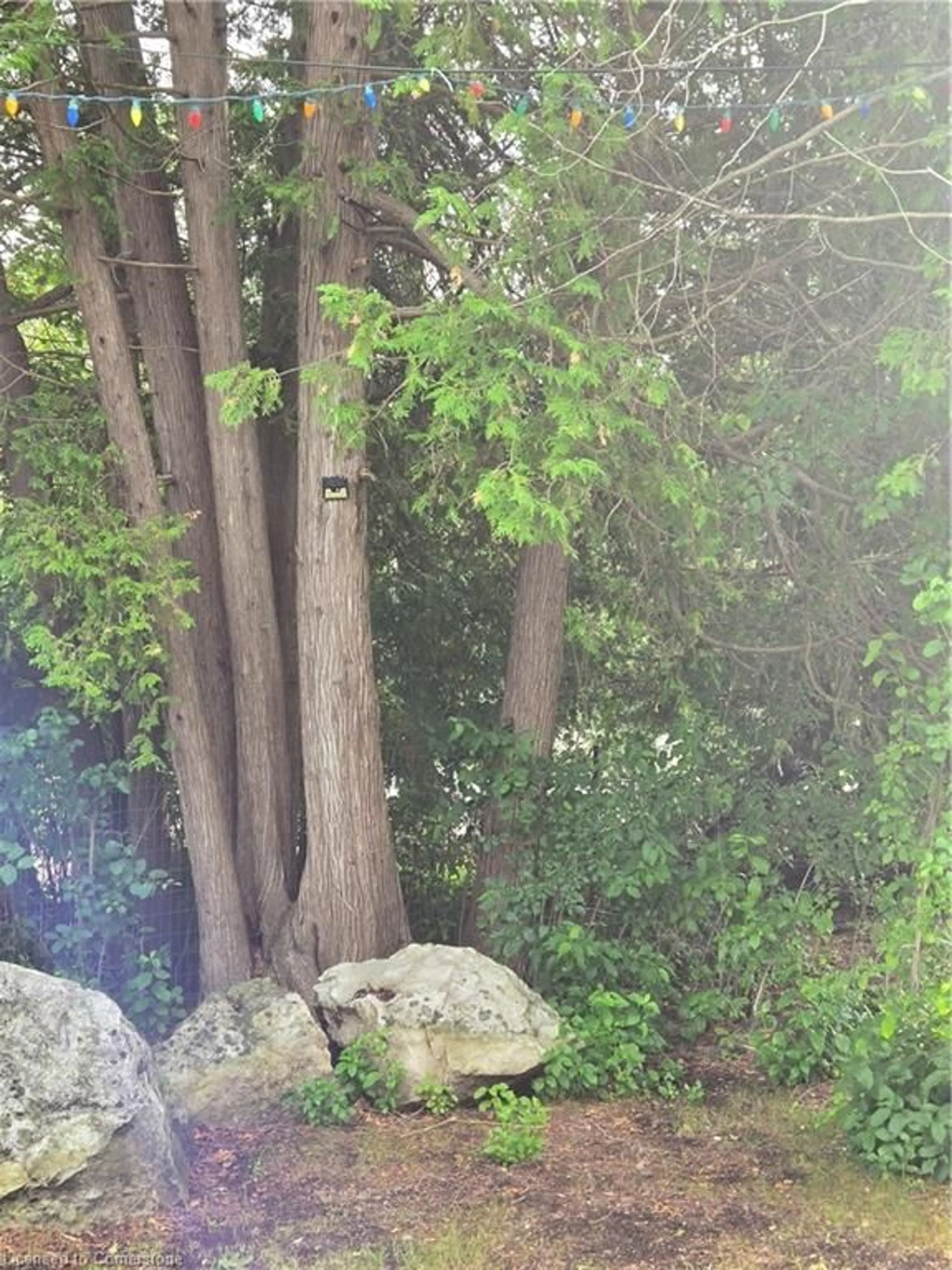 Unknown for 1058 10th Concession Rd #22, Flamborough Ontario N0B 2J0