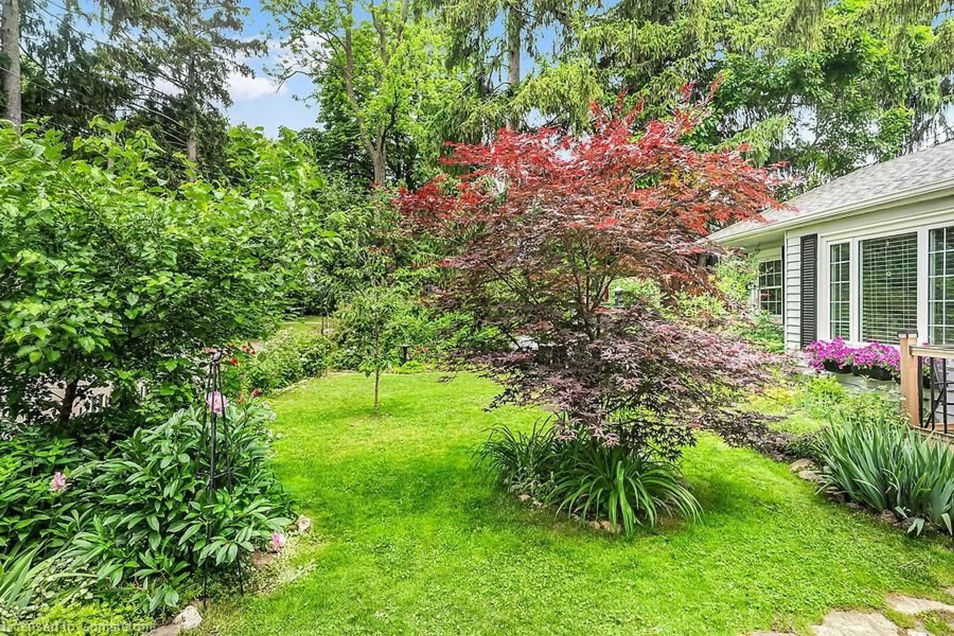 Patio, forest/trees view for 388 Moxley Rd, Dundas Ontario L9H 5L5