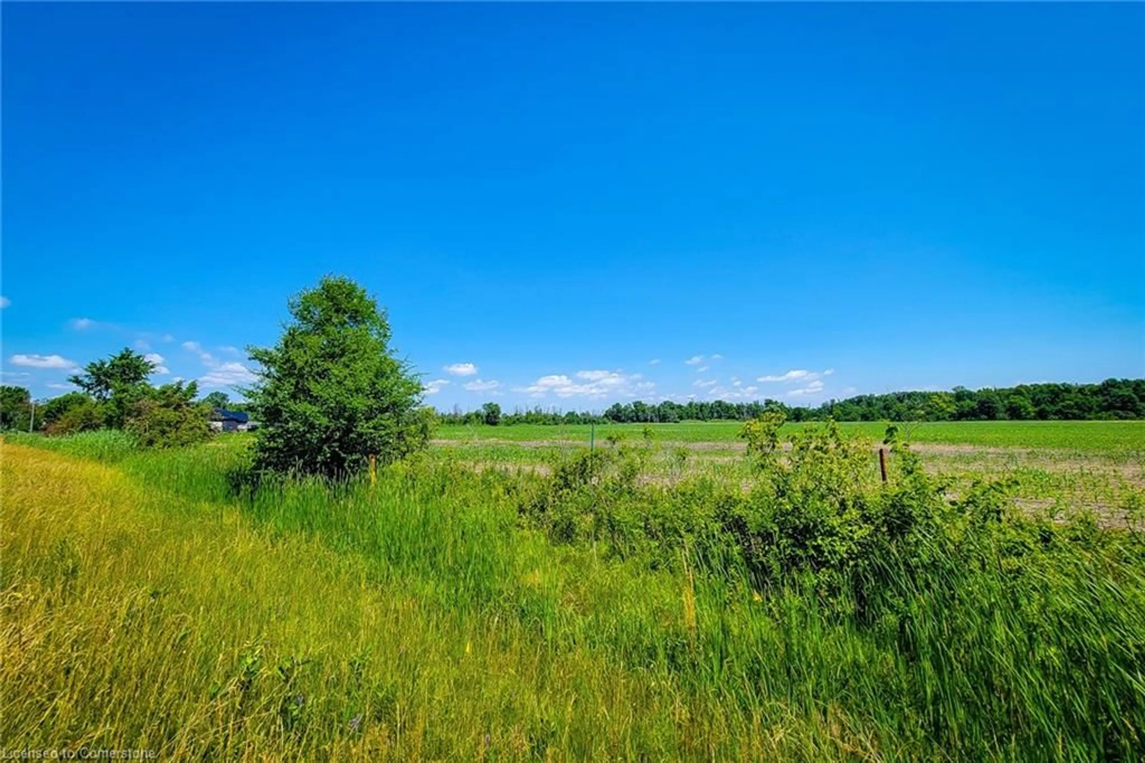 A pic from outside/outdoor area/front of a property/back of a property/a pic from drone, forest/trees view for 1615 North Shore Dr, Lowbanks Ontario N0A 1K0