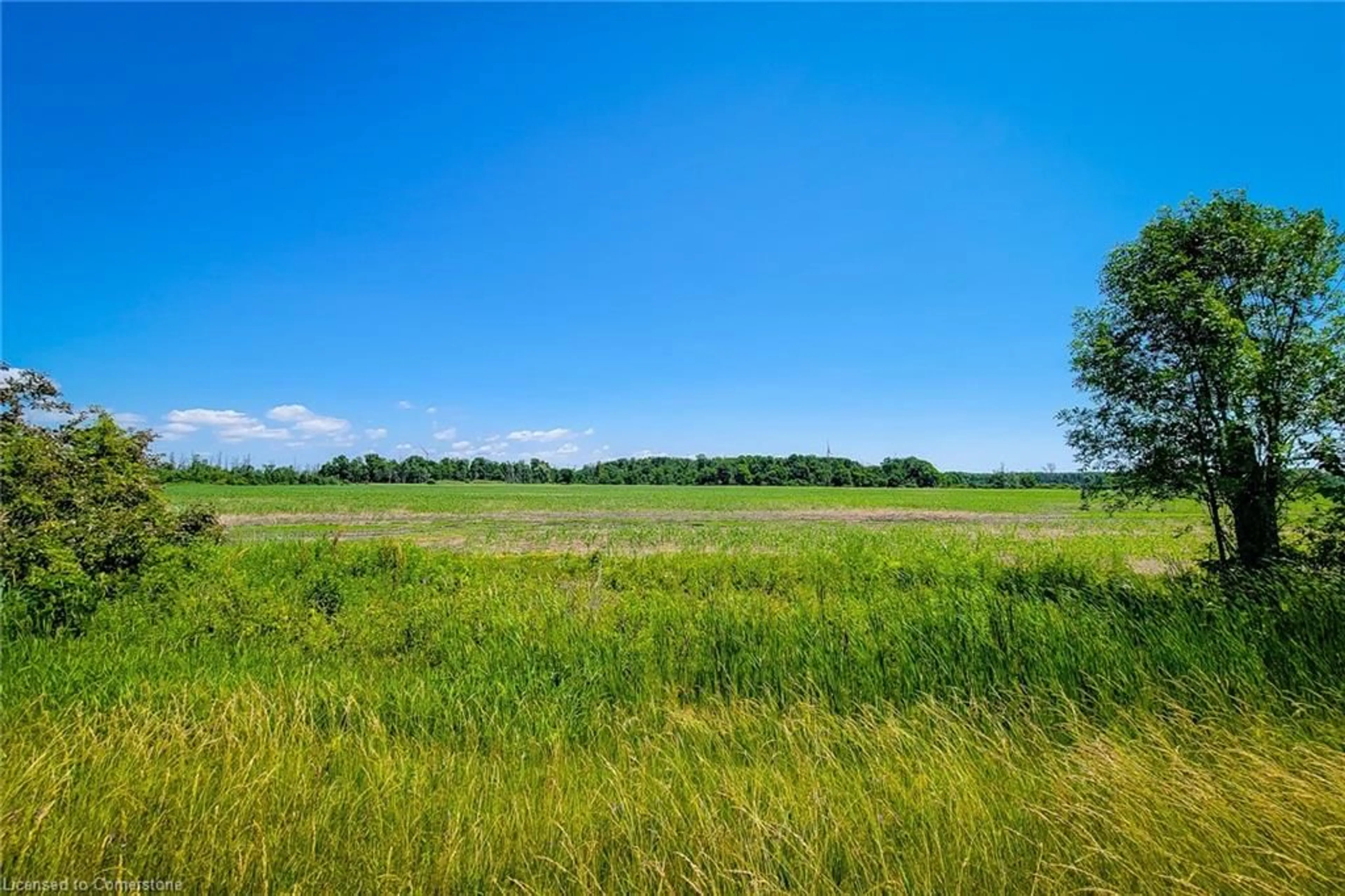A pic from outside/outdoor area/front of a property/back of a property/a pic from drone, water/lake/river/ocean view for 1615 North Shore Dr, Lowbanks Ontario N0A 1K0