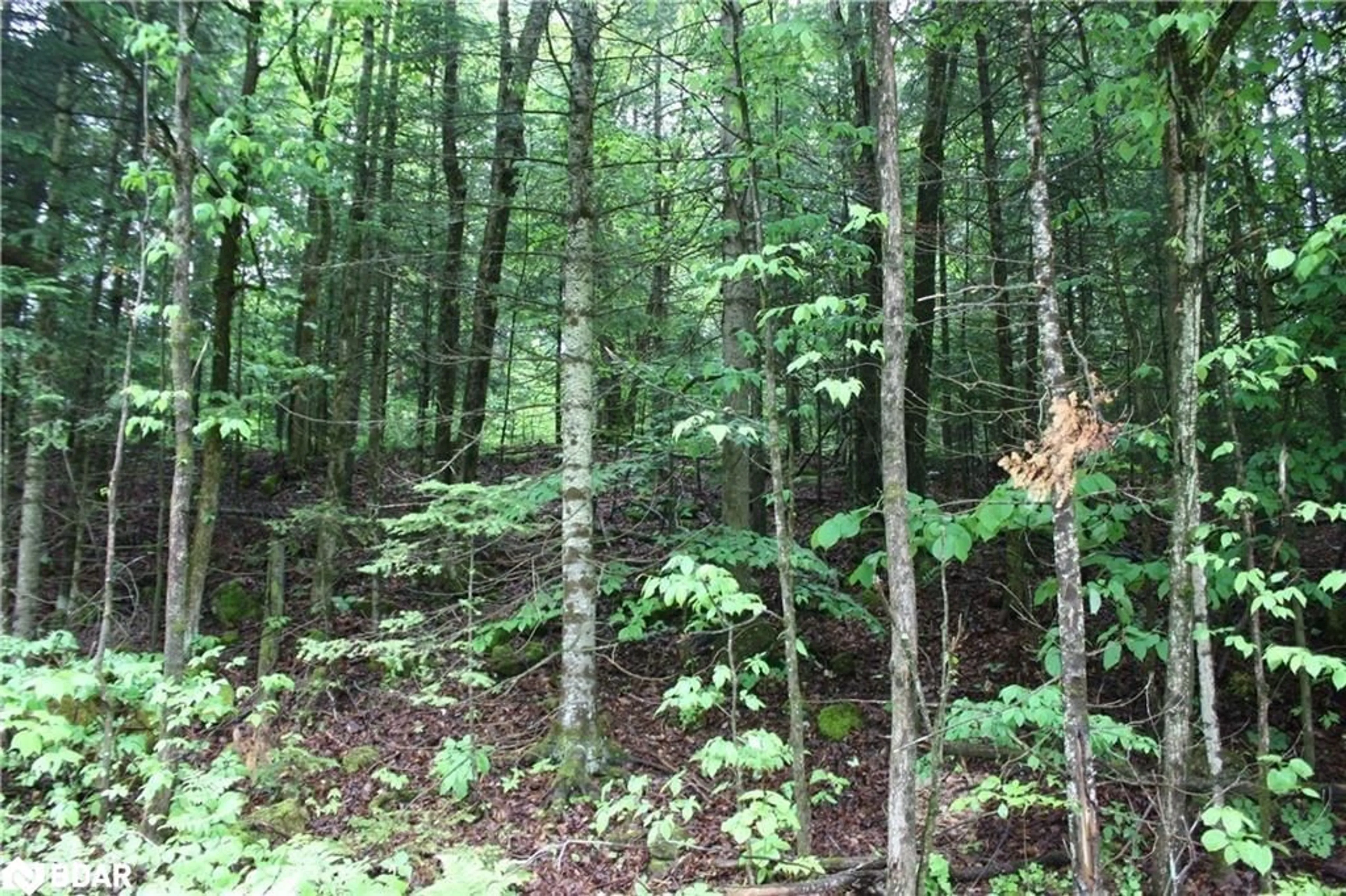Blurry image for N/A Quarry Rd, Bancroft Ontario K0L 1C0