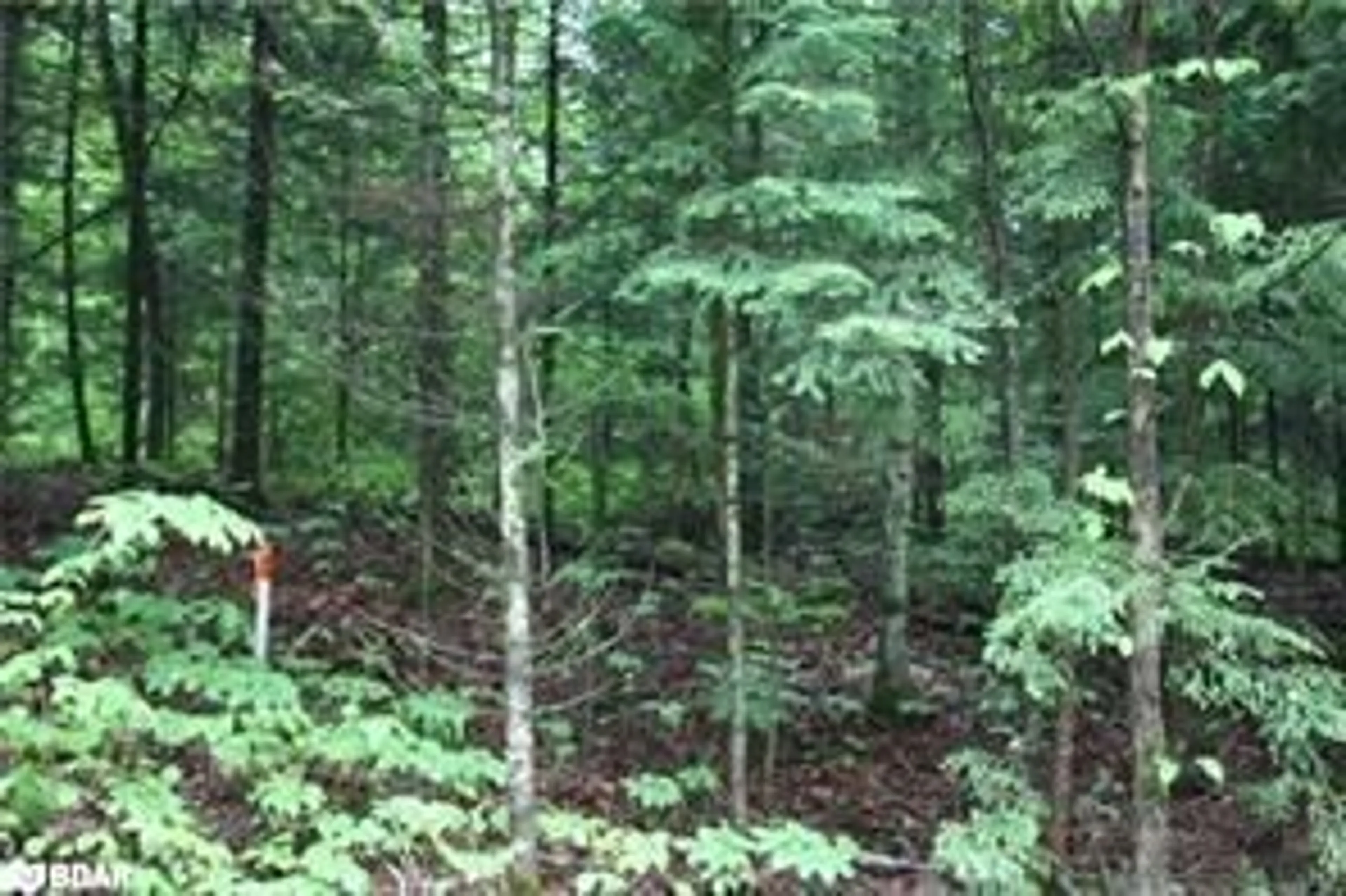 Blurry image for N/A Quarry Rd, Bancroft Ontario K0L 1C0