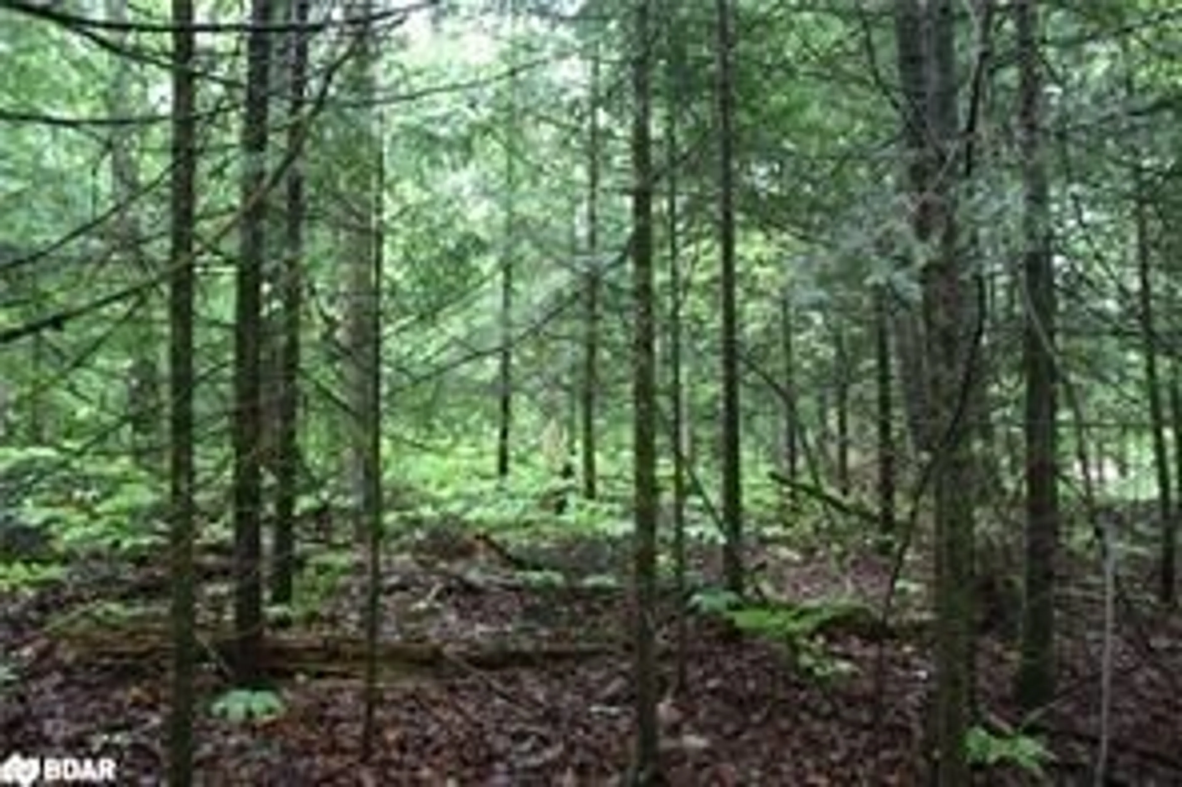 Blurry image for N/A Quarry Rd, Bancroft Ontario K0L 1C0