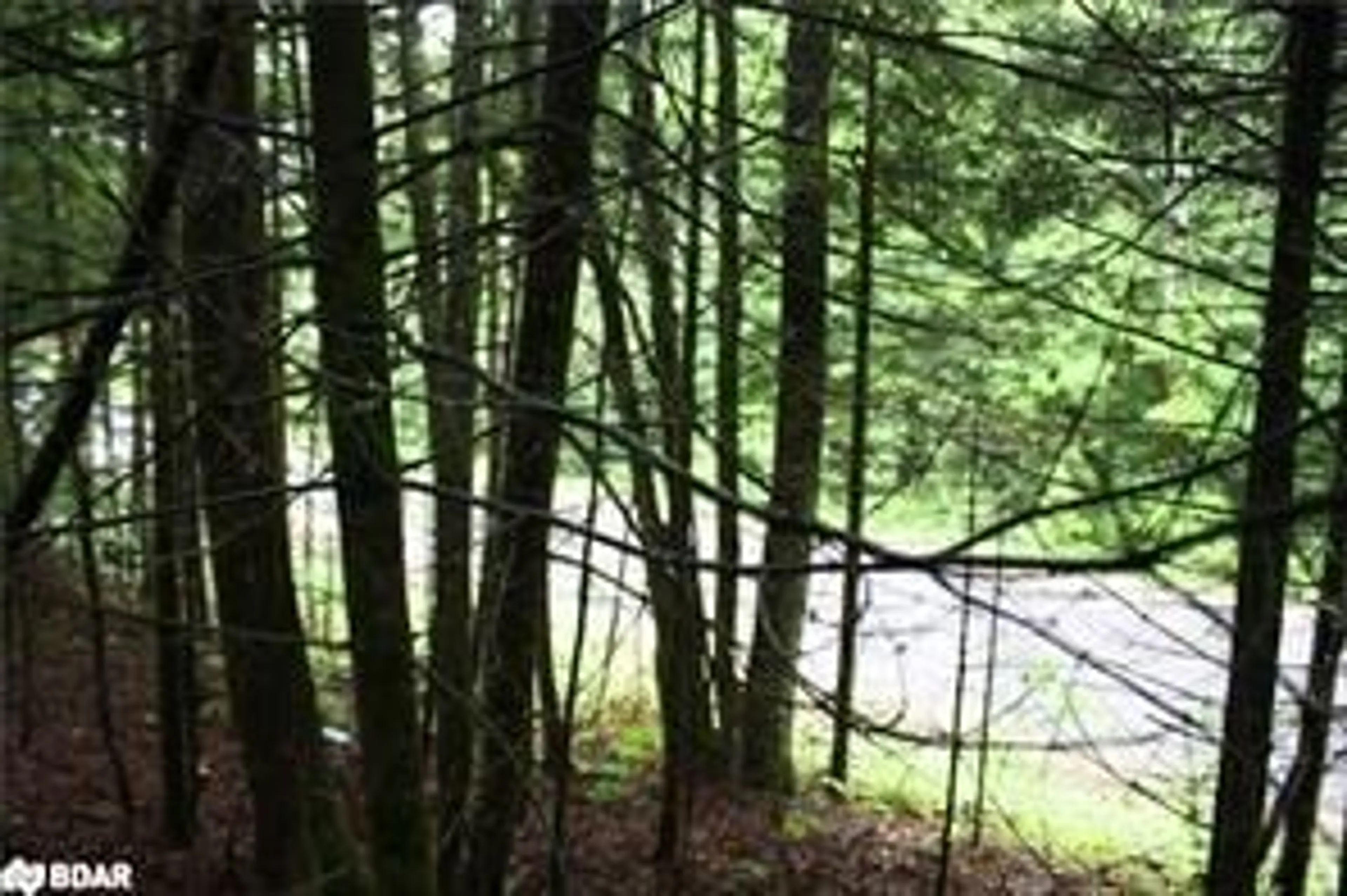 Blurry image for N/A Quarry Rd, Bancroft Ontario K0L 1C0