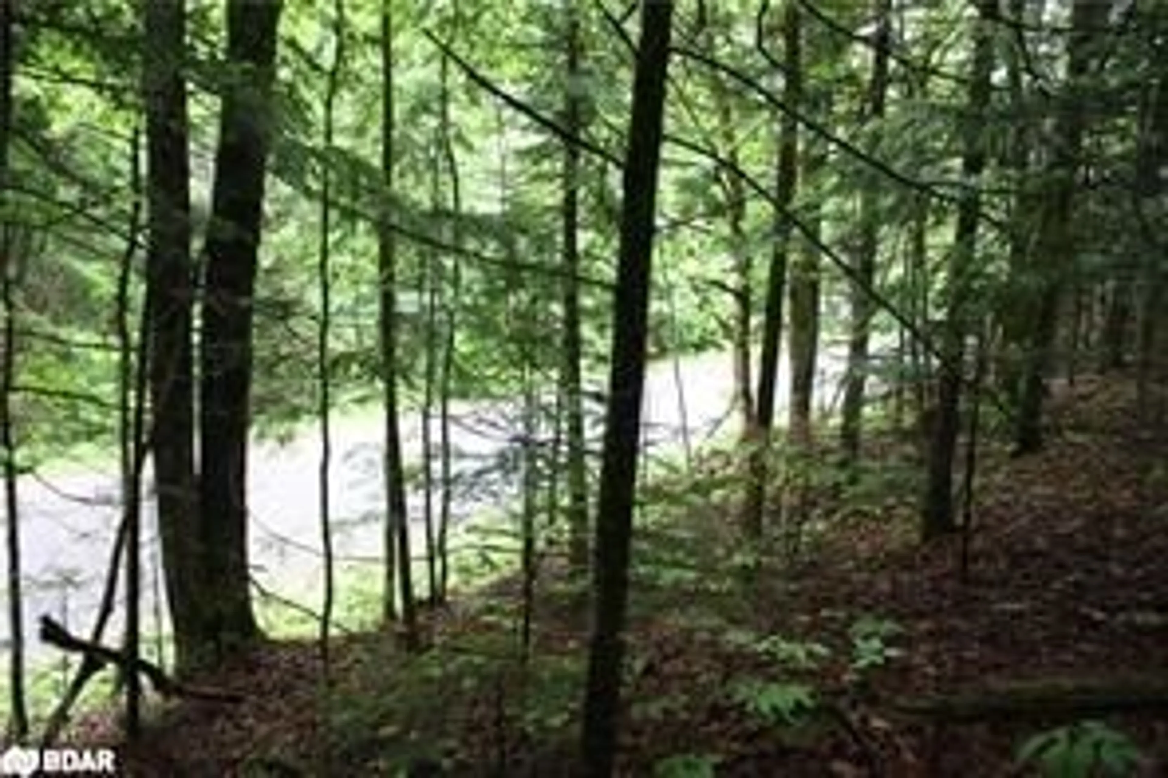 Blurry image for N/A Quarry Rd, Bancroft Ontario K0L 1C0
