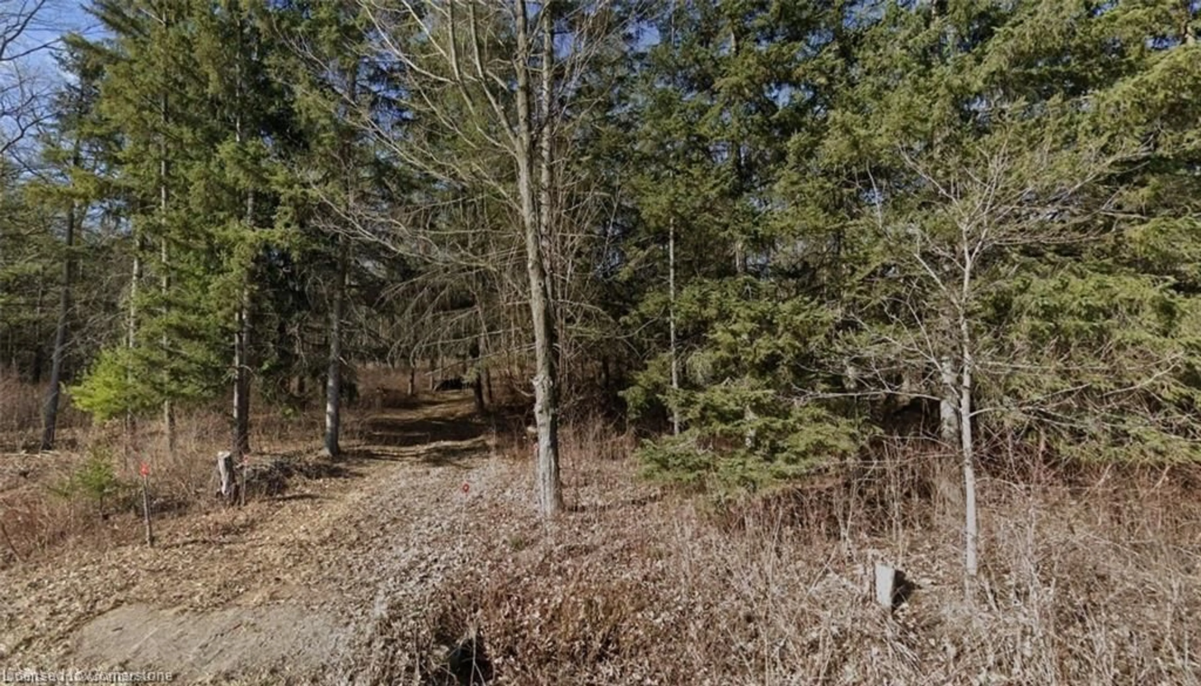 A pic from outside/outdoor area/front of a property/back of a property/a pic from drone, forest/trees view for PT LT H Shellard Rd, Cambridge Ontario N1R 5S7
