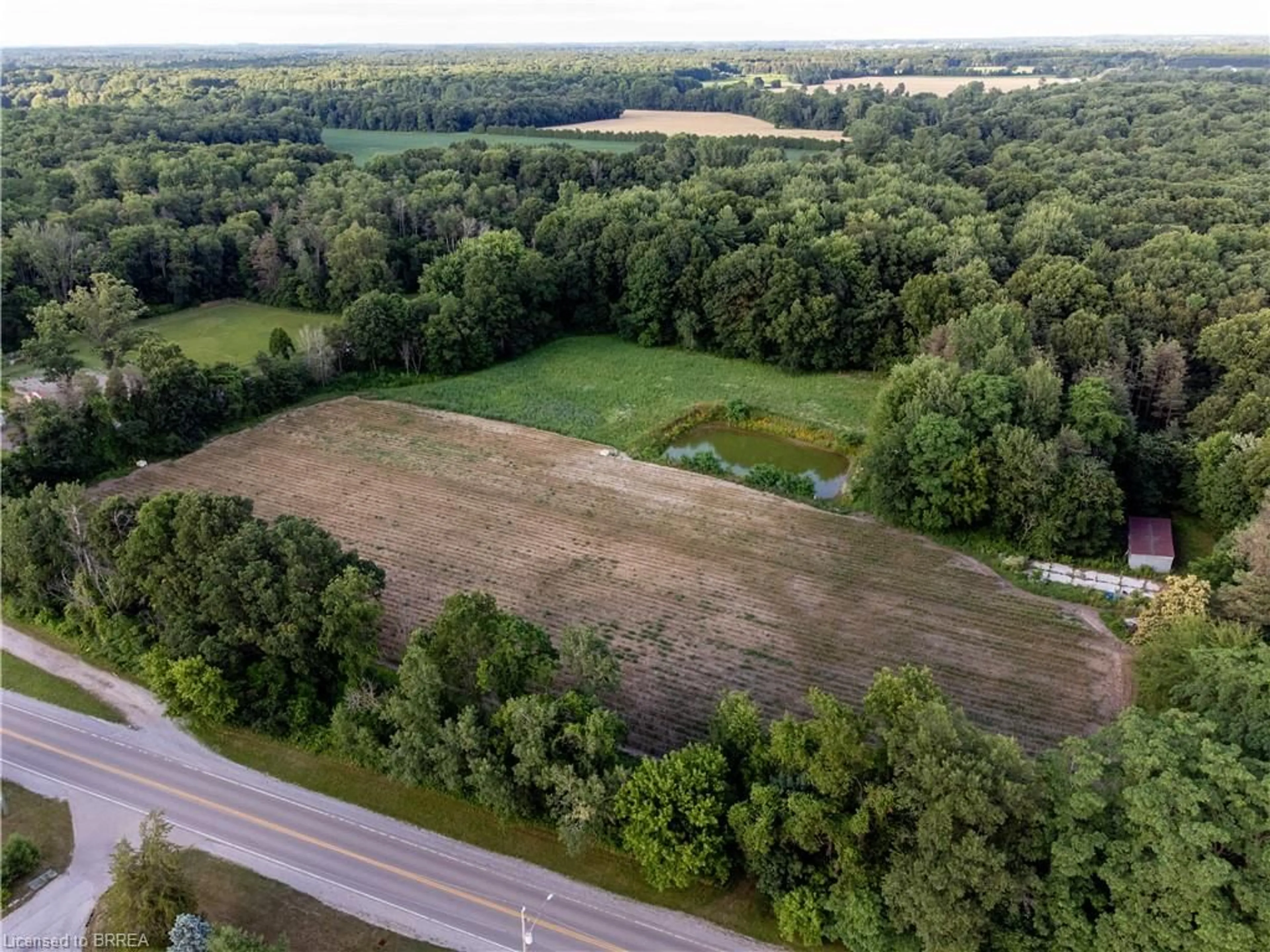 A pic from outside/outdoor area/front of a property/back of a property/a pic from drone, forest/trees view for 2328 Nixon Rd #1, Simcoe Ontario N3Y 4K6