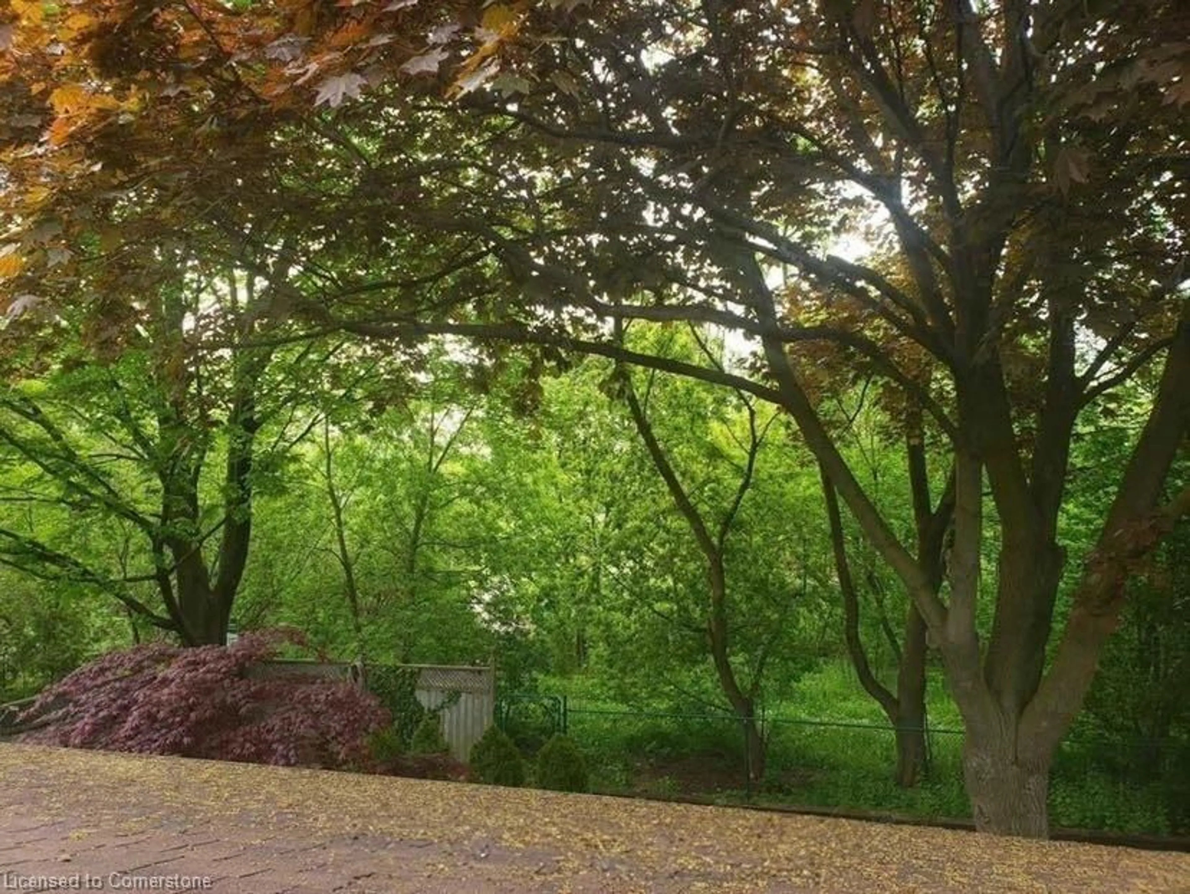 Patio, forest/trees view for 1230 Wood Pl, Oakville Ontario L6L 2R5