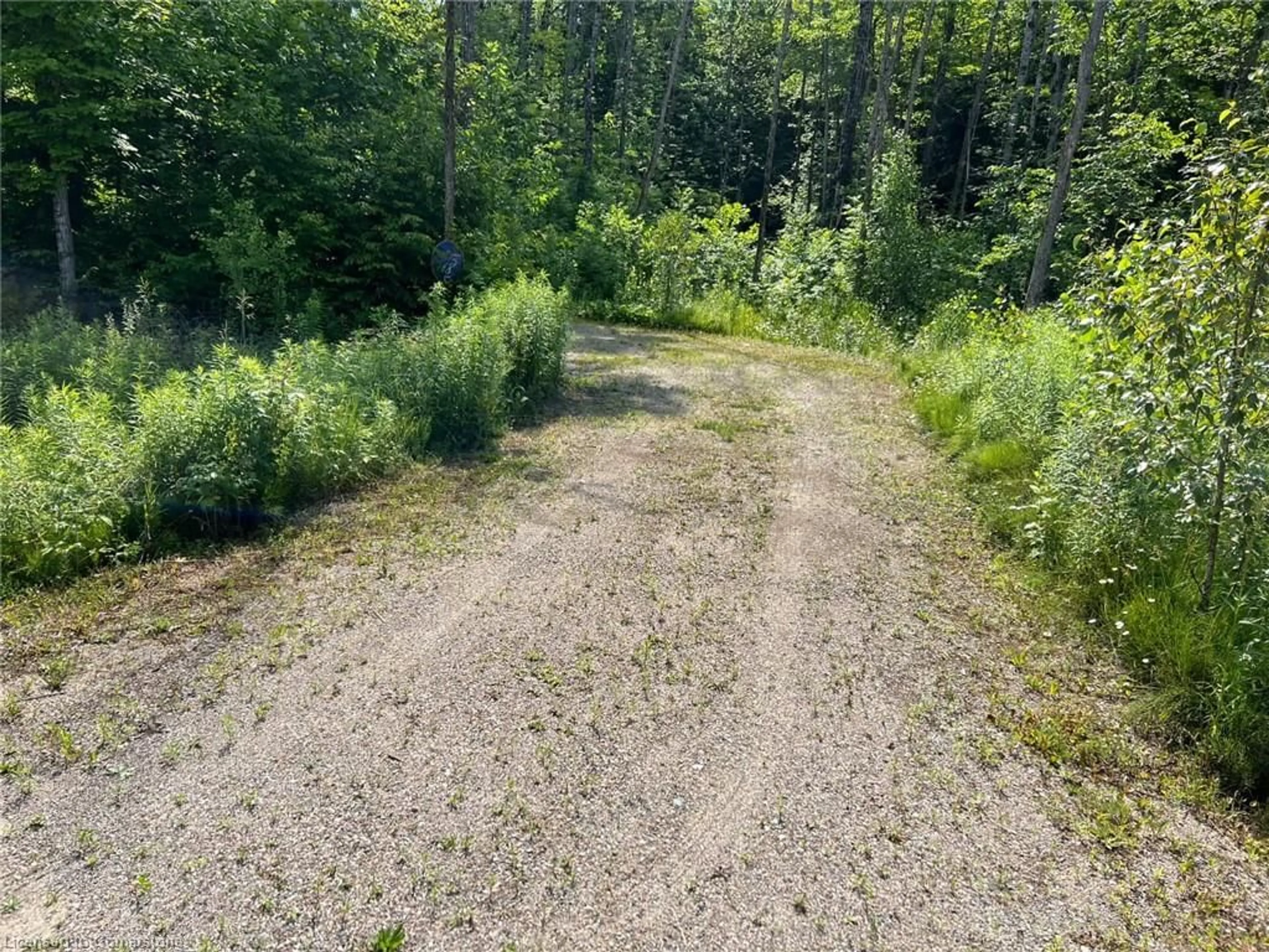 A pic from outside/outdoor area/front of a property/back of a property/a pic from drone, forest/trees view for 1060 Nordic Rd, Arden Ontario K0H 1B0