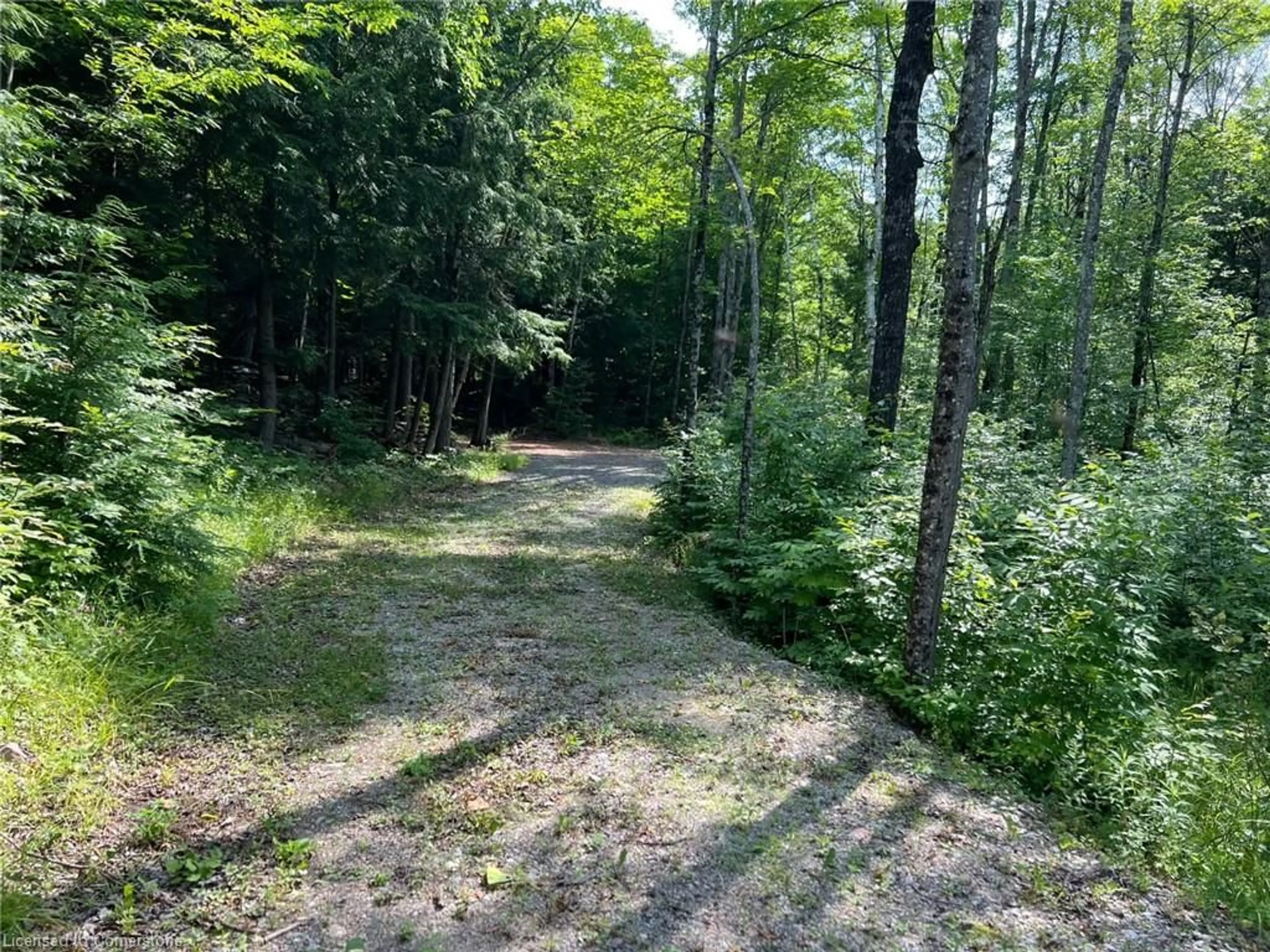 A pic from outside/outdoor area/front of a property/back of a property/a pic from drone, forest/trees view for 1060 Nordic Rd, Arden Ontario K0H 1B0
