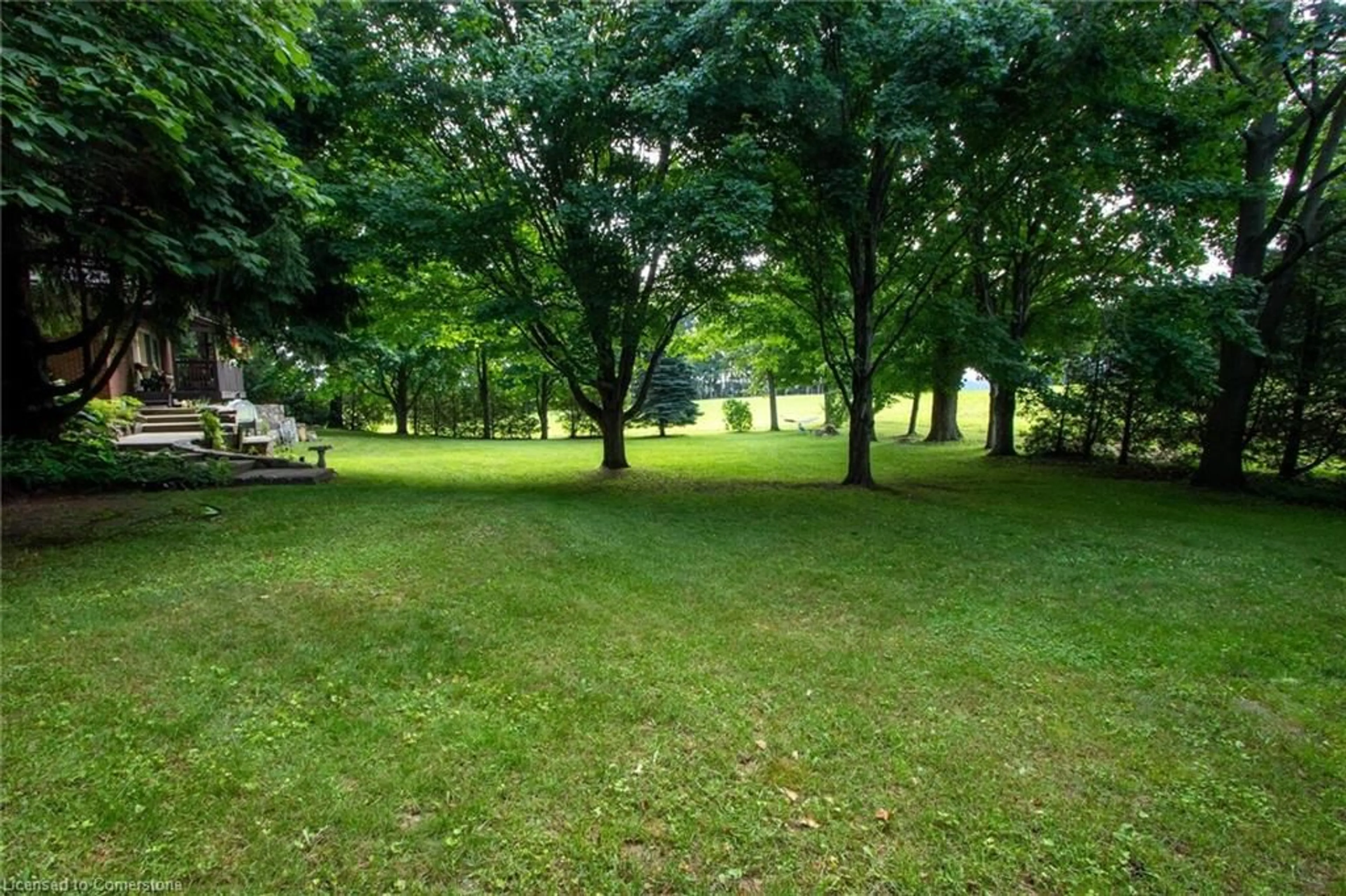 Patio, forest/trees view for 923382 Road 92, Lakeside Ontario N0M 2G0