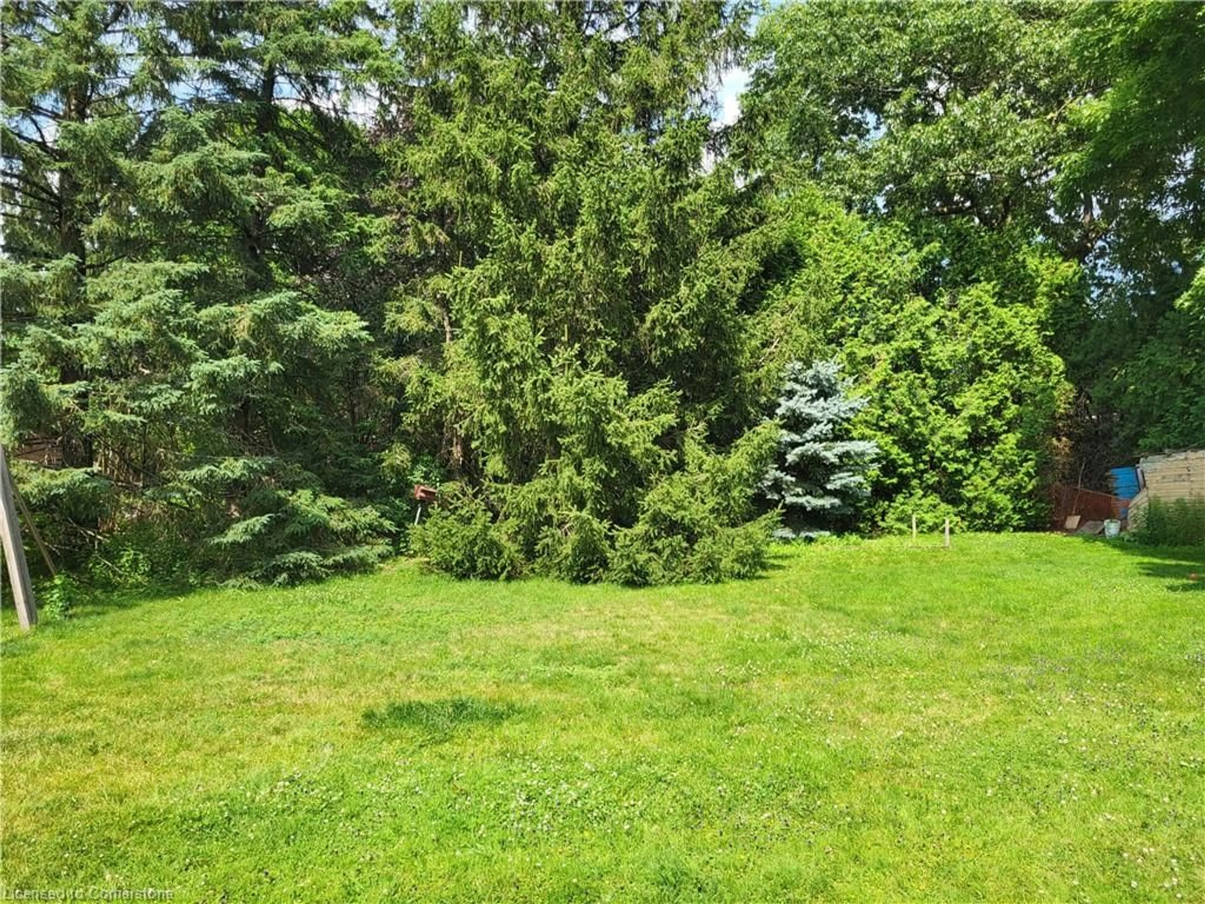 A pic from outside/outdoor area/front of a property/back of a property/a pic from drone, forest/trees view for 46 First St, Waterdown Ontario L0R 2H0